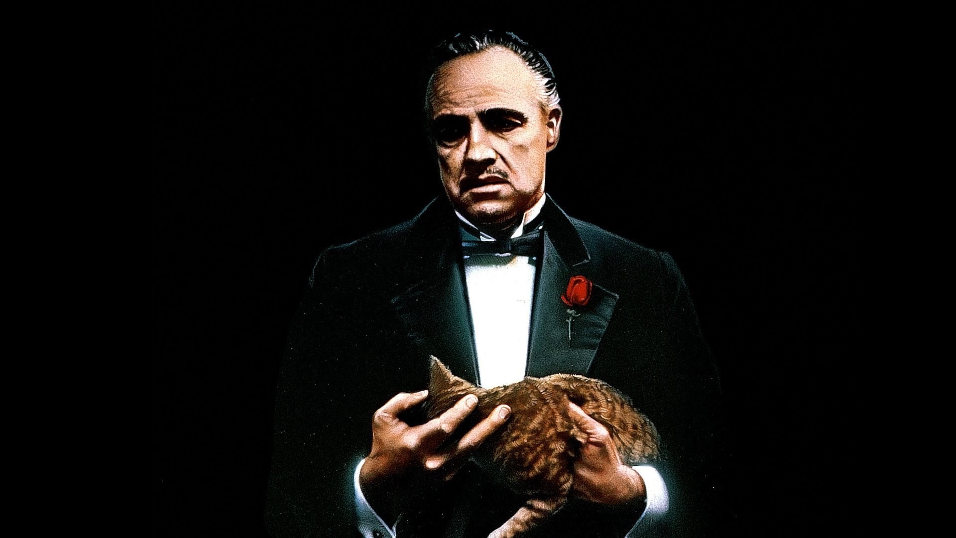 the godfather, 1080P, HD Wallpaper