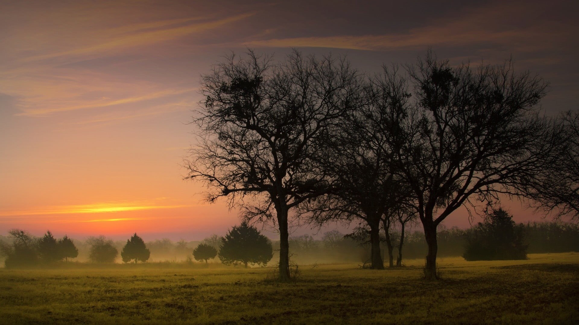 morning, dawn, sunrise, no people, celestial body, horizon, hazy, tranquil, 1080P, sunlight, light, dark, plant, cloud, night, clouds, dusk, environment, HD Wallpaper