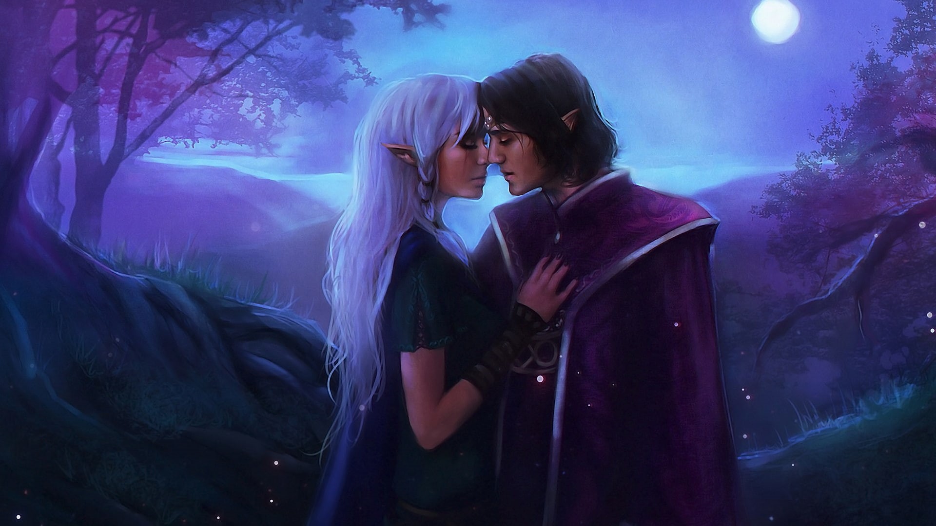 elf, 1080P, emotion, artistic, fan, airbrushing, baldur 039 s, romance, kiss, xan, girls, moonlight, paintings, vidaniel, night, females, moon, landscapes, HD Wallpaper
