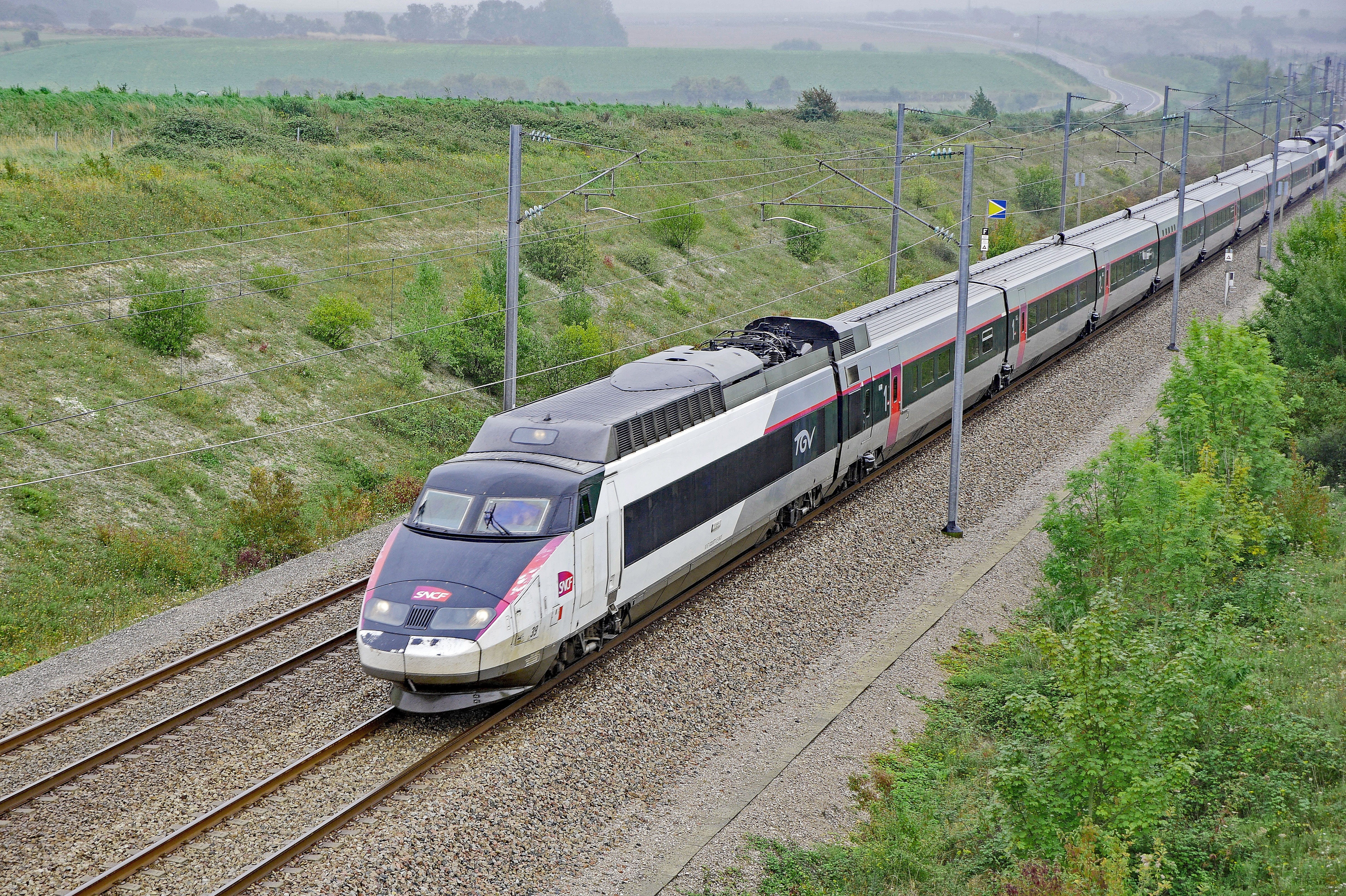 electric locomotive, plant, railroad track, field, outdoors, tgv-nord, public transportation, green color, high angle view, arrival, track, rail transportation, HD Wallpaper