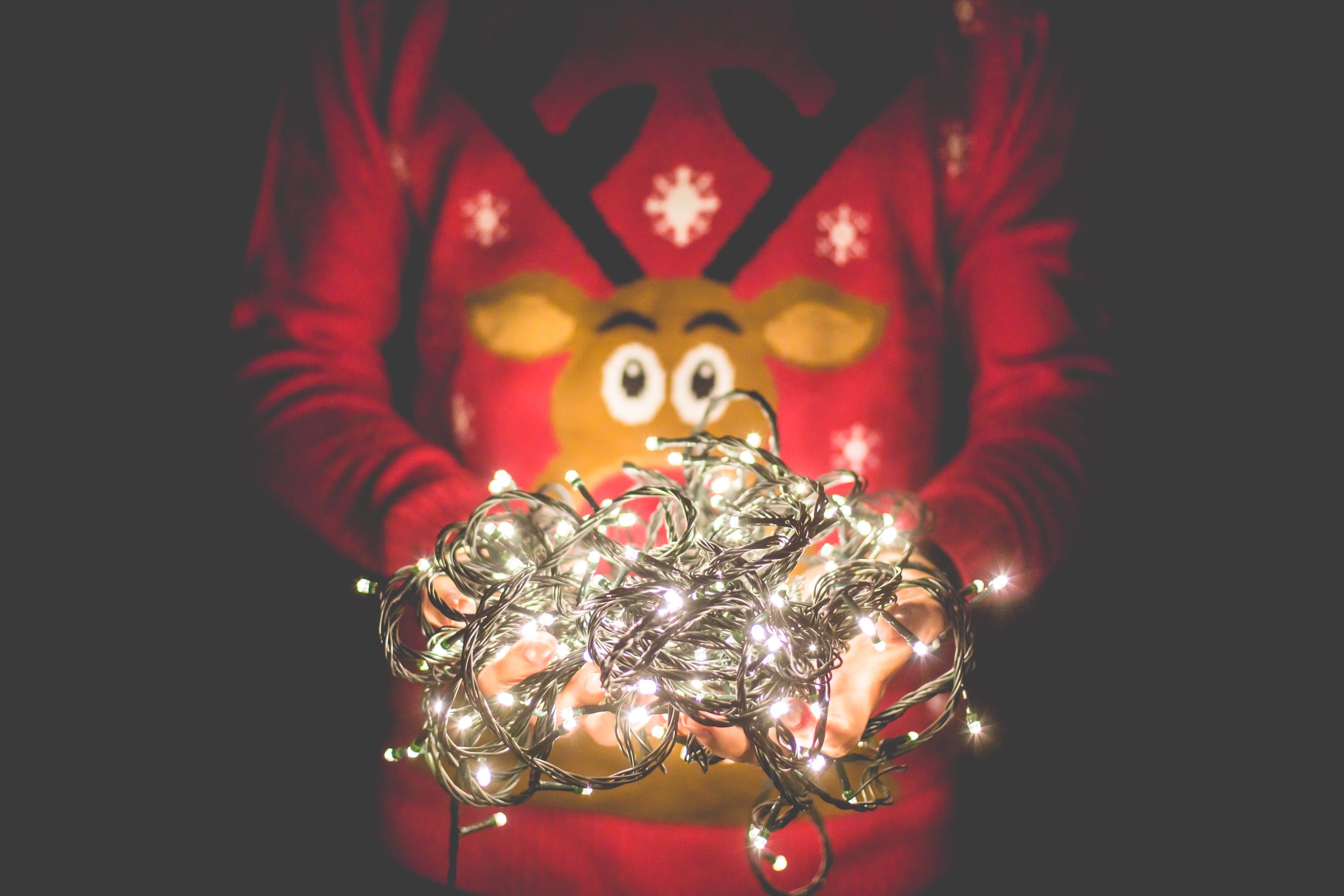 lights, sweater, Man, christmas decoration, studio shot, cultures, indoors, human body part, christmas time, christmas ornament, celebration, 4K, reindeer, HD Wallpaper