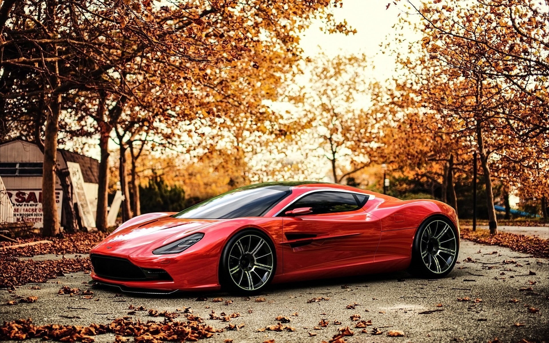land Vehicle, power, Aston Martin DBC, mode of Transport, tree, sport, plant, change, street, wheel, autumn, Aston Martin, nature, trees, red cars, transportation, HD Wallpaper
