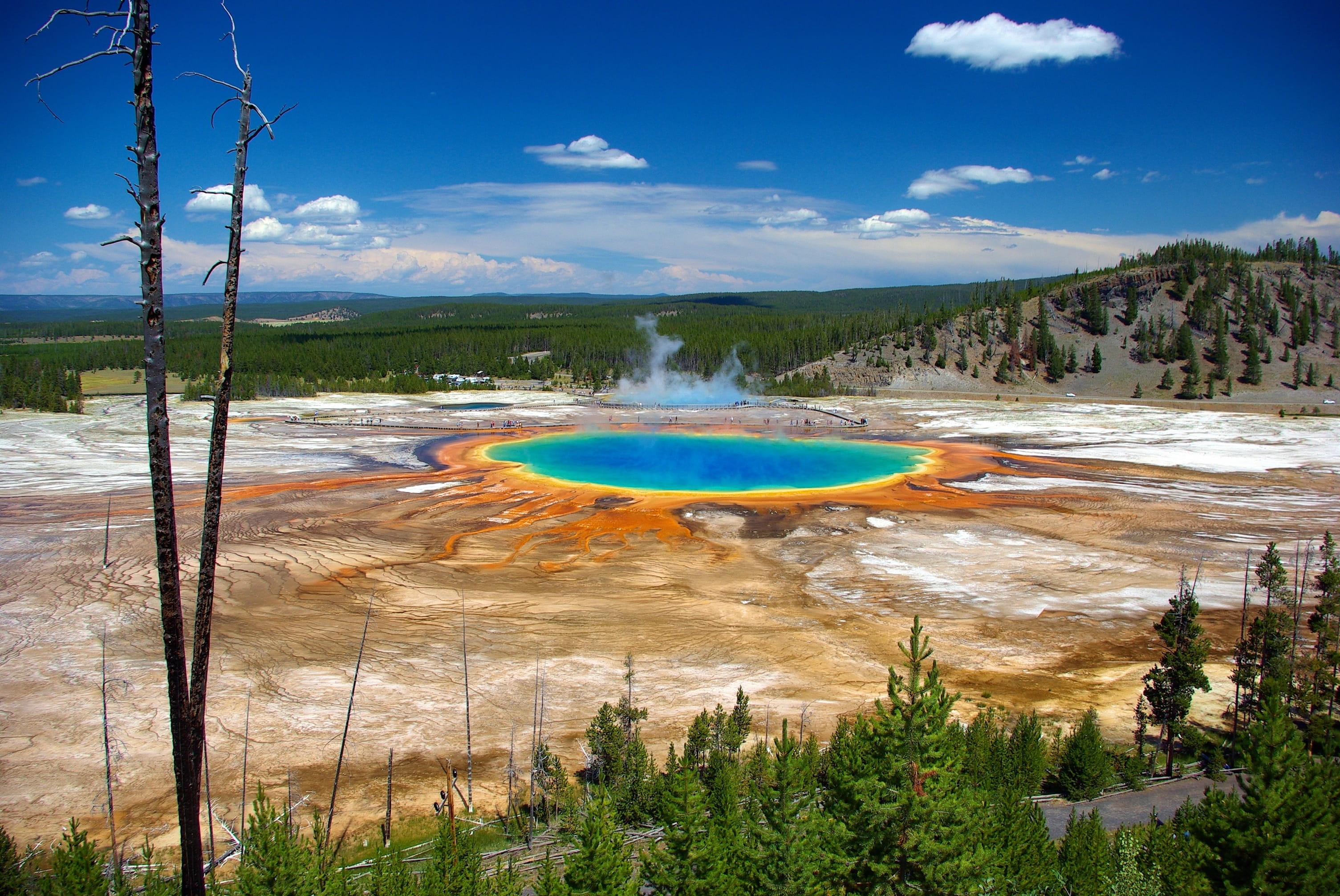 america, minerals, travel destinations, blue, spectrum, landscape, tree, plant, beauty in nature, hot spring, grand prismatic from overlook, volcanism, HD Wallpaper