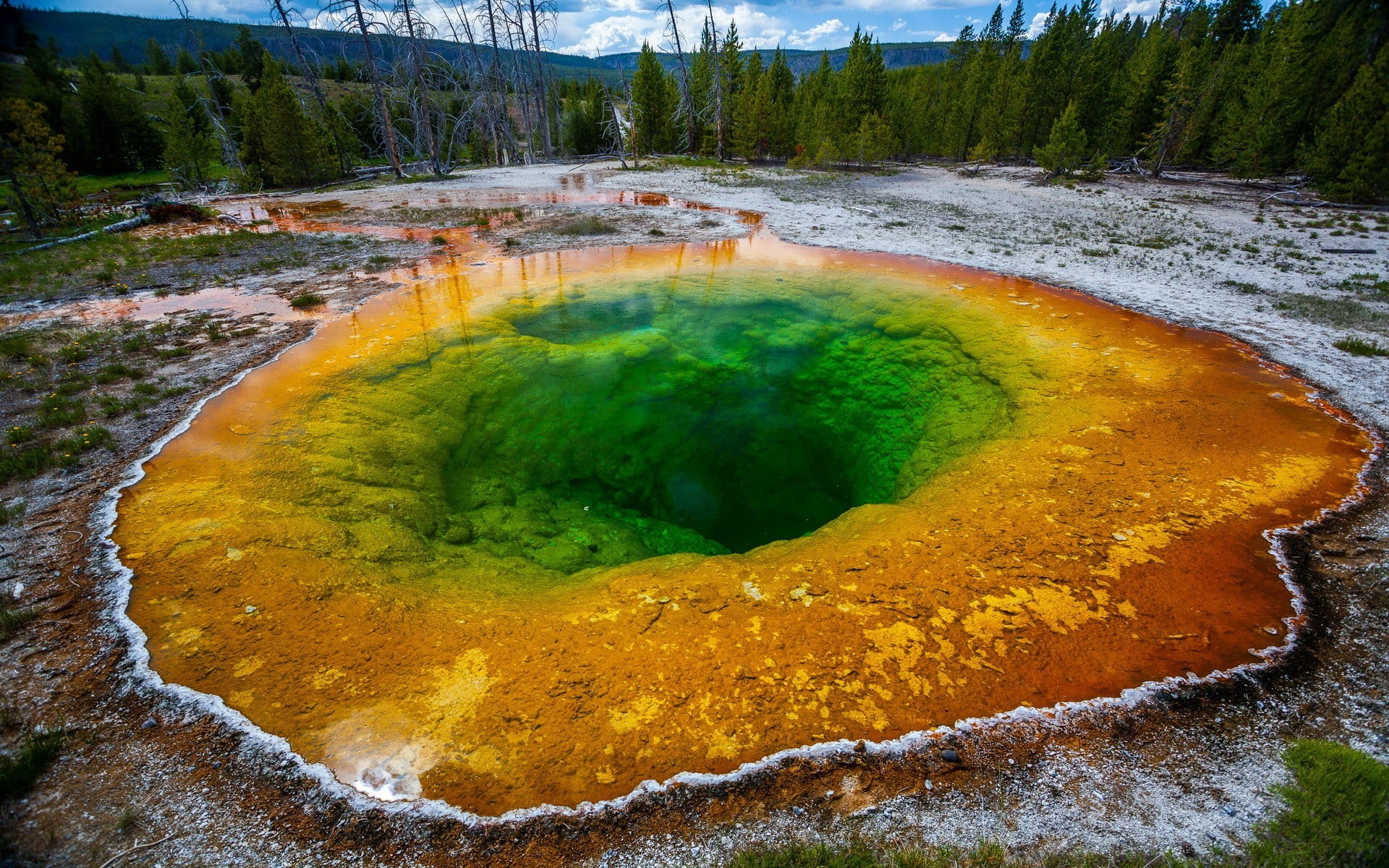 plant, geology, tranquility, day, land, heat - temperature, physical geography, outdoors, no people, beauty in nature, geyser, water, 1080P, landscape, HD Wallpaper