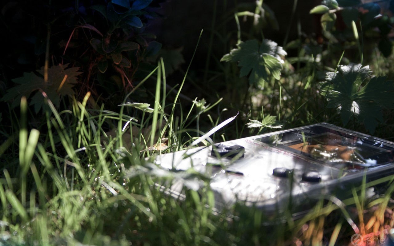 no people, beauty in nature, nature, 8-bit, console, outdoors, flower, green color, game, freshness, Nintendo, water, GameBoy, plant, blade of grass, 720P, HD Wallpaper