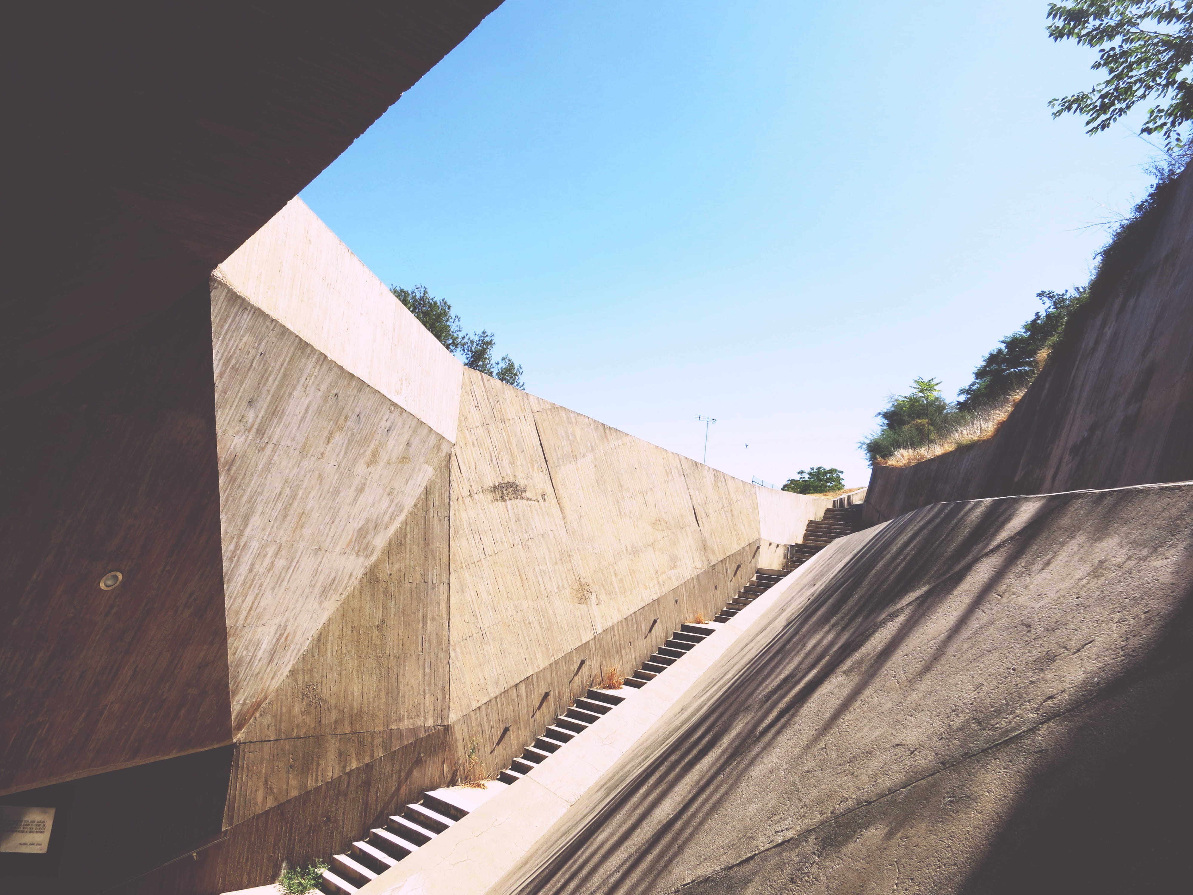 arecaceae, light, concrete, 4K, sky, staircase, step, nature, tree, building exterior, wall - building feature, low angle view, flora, angular, plant, HD Wallpaper