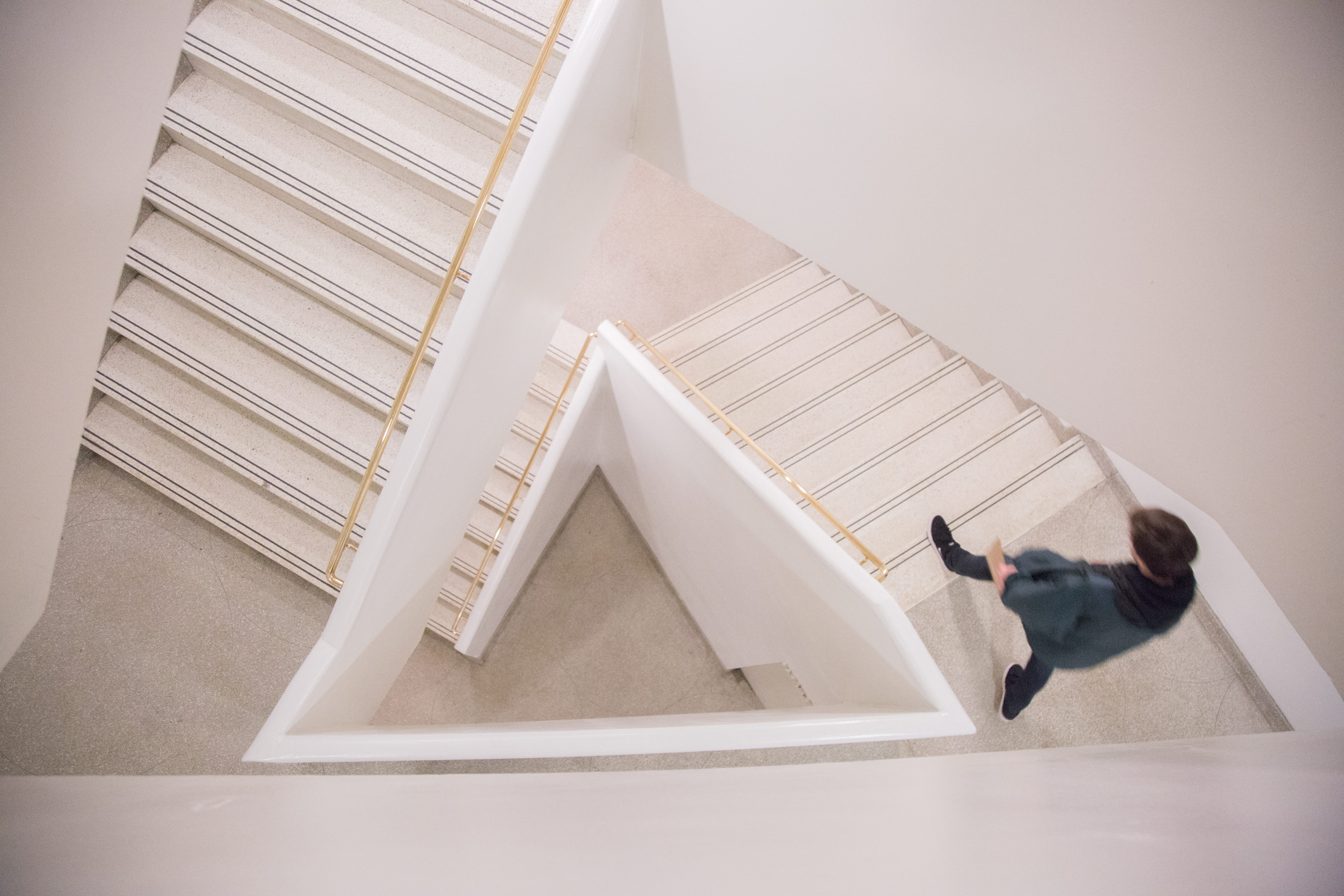 dog, full length, concrete, steps and staircases, design, indoors, vertebrate, white, person, 5K, walking, stair, angle, man, canine, stairs, architecture, HD Wallpaper