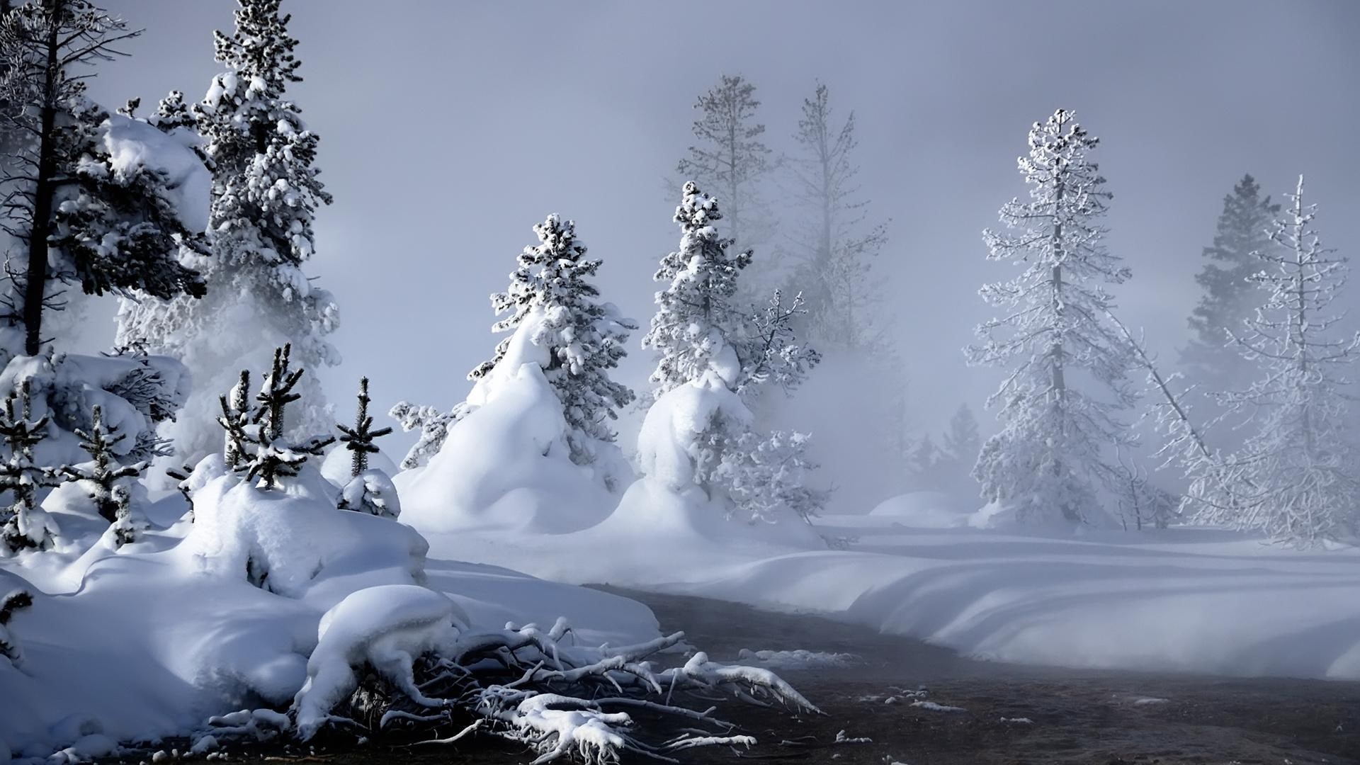 its so cool, mystik, hdtv, 3d and abstract, mystic, brook, winter, 1080P, hdtv 1080p, cold, tree, hd 1080p, HD Wallpaper