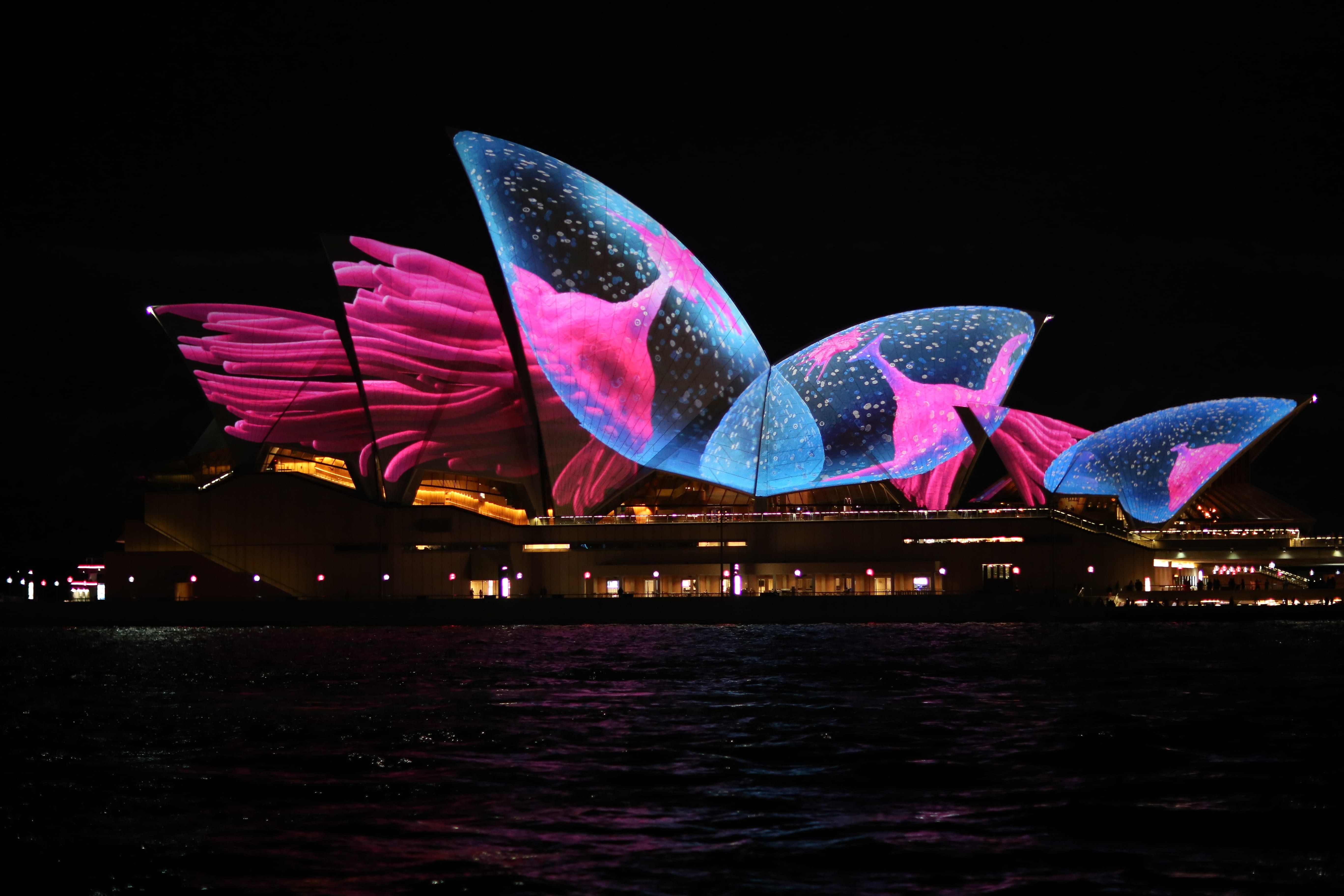 vivid, water, city, architecture, nightlife, illuminated, motion, opera, 5K, sky, dark, travel destinations, circular quay, house, waterfront, creativity, HD Wallpaper