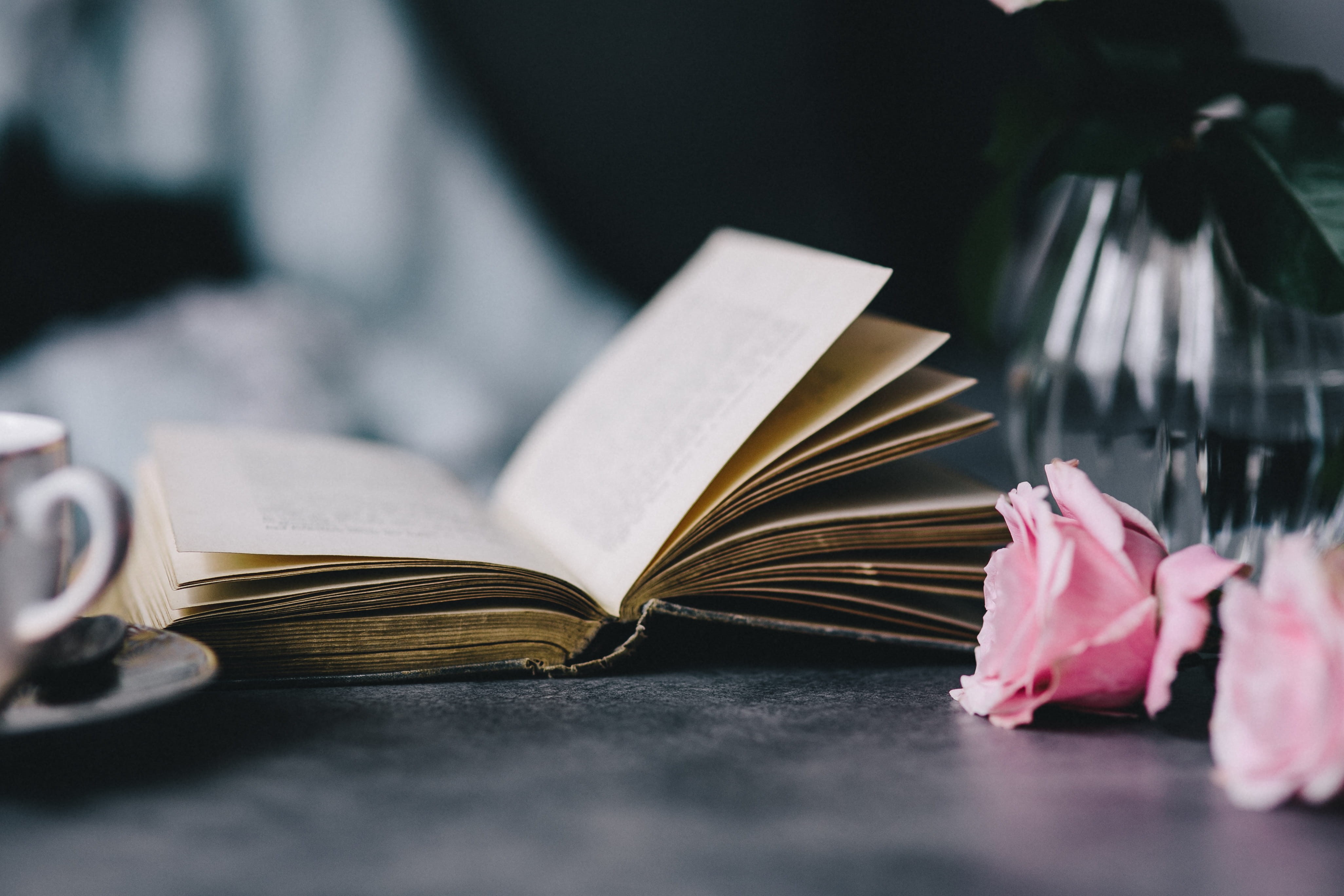 education, coffee, document, reading, publication, no People, table, paper, essentials, stack, flowering plant, 4K, beauty in nature, learning, note pad, HD Wallpaper
