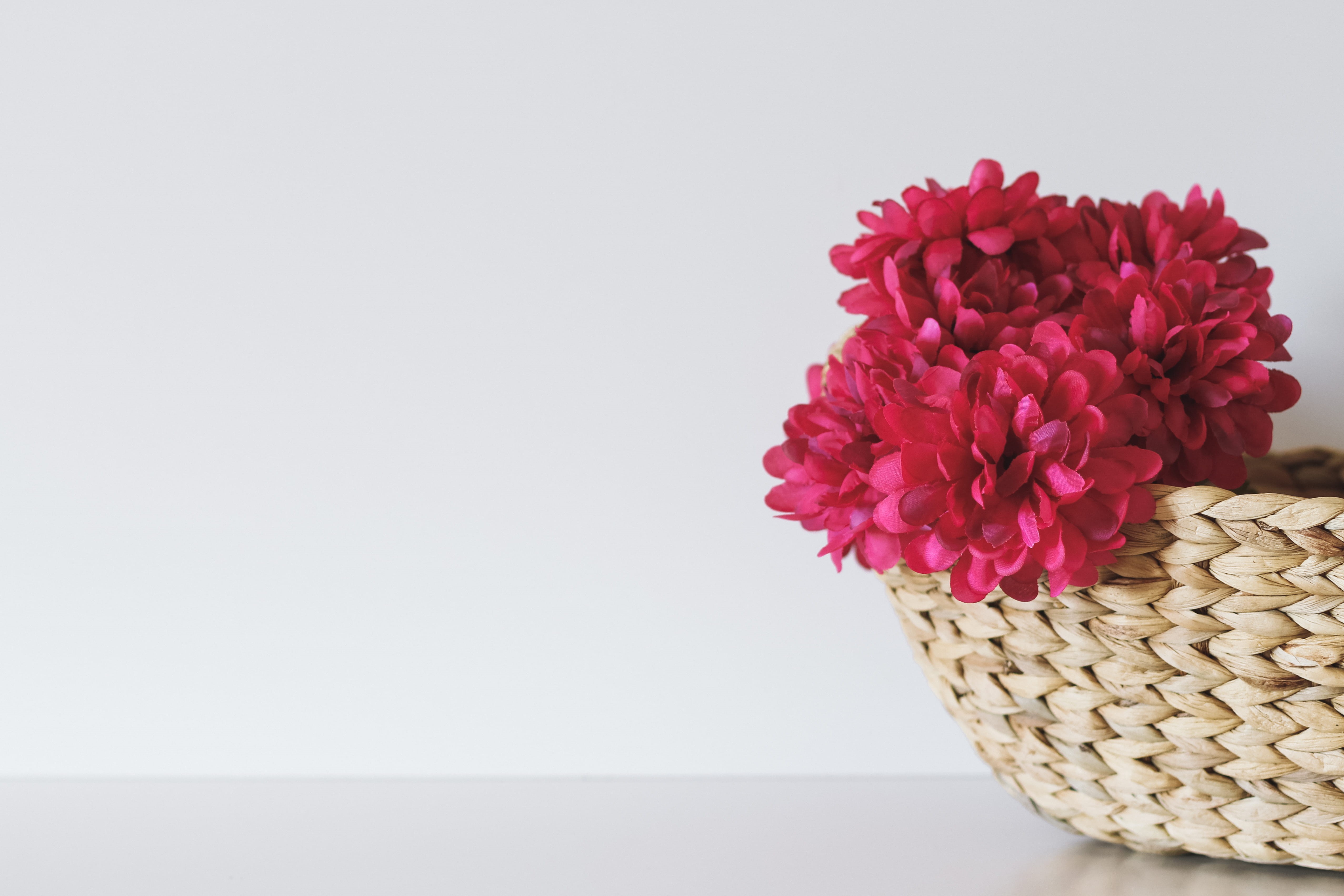 flower head, studio shot, woven, no people, flowering plant, brown, bouquet, container, close-up, vulnerability, indoors, flowers, freshness, flower bouquet, HD Wallpaper