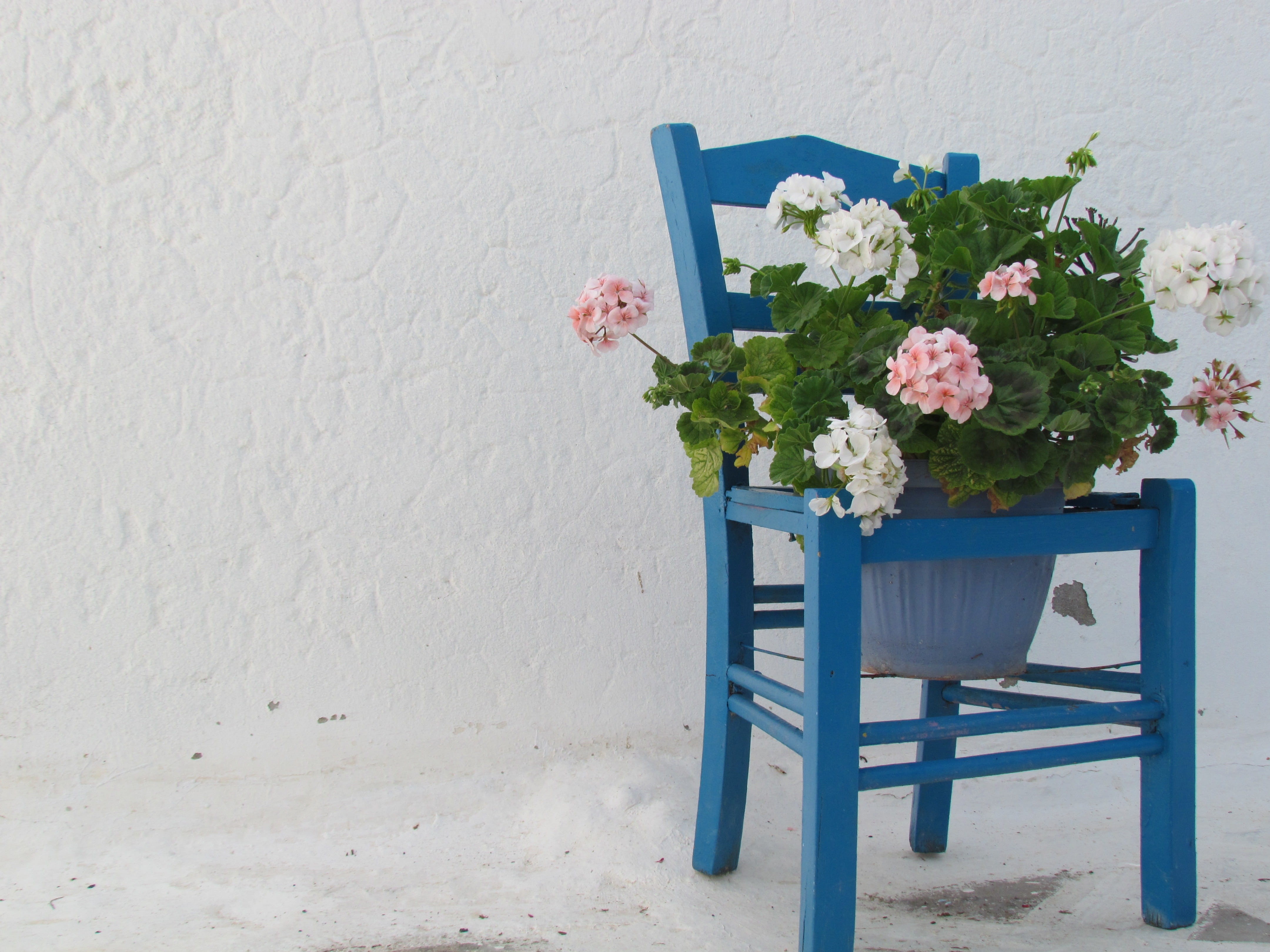 pink, ruin, sun, seat, vase, flower arrangement, white color, white, wooden, old, blue, table, no people, flowering plant, beauty in nature, outdoors, vulnerability, HD Wallpaper