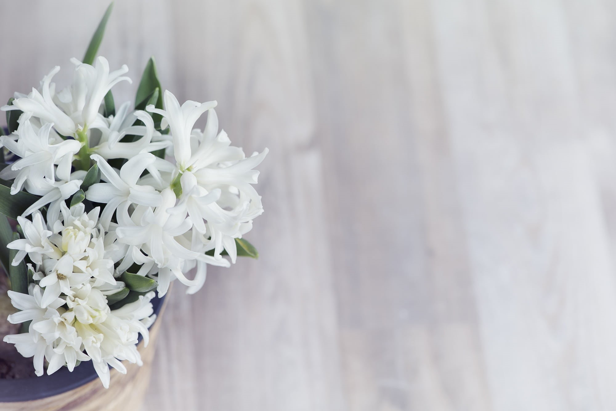flower, petaled, bunch of flowers, freshness, wood - Material, fragrant flower, close, backgrounds, wedding, indoors, flowers, fragility, plant, no people, HD Wallpaper