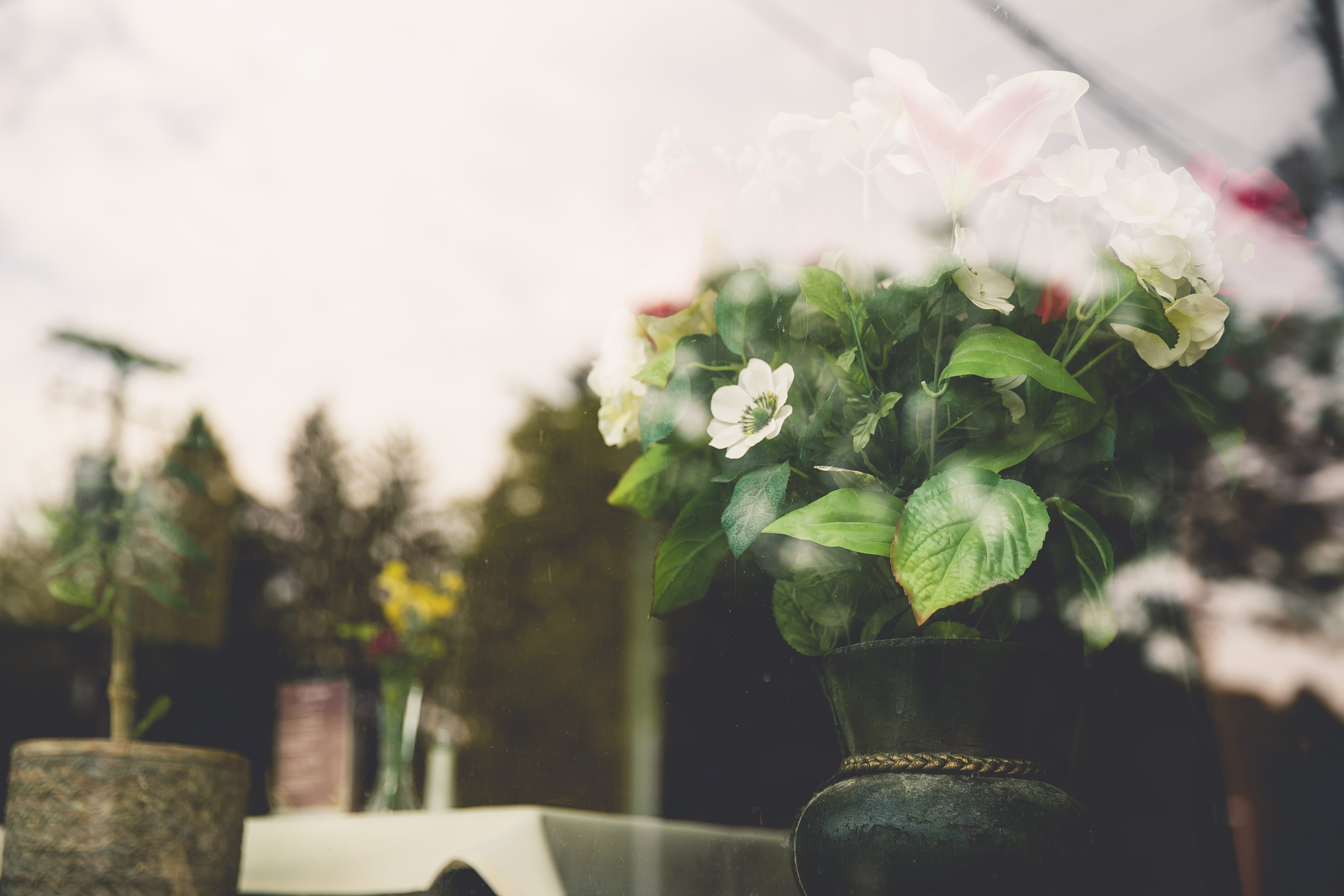 flower arrangement, 5K, no people, white, flowers, beauty in nature, urban, plant part, leaf, vulnerability, gloomy, plants, petals, plastic, outdoors, HD Wallpaper