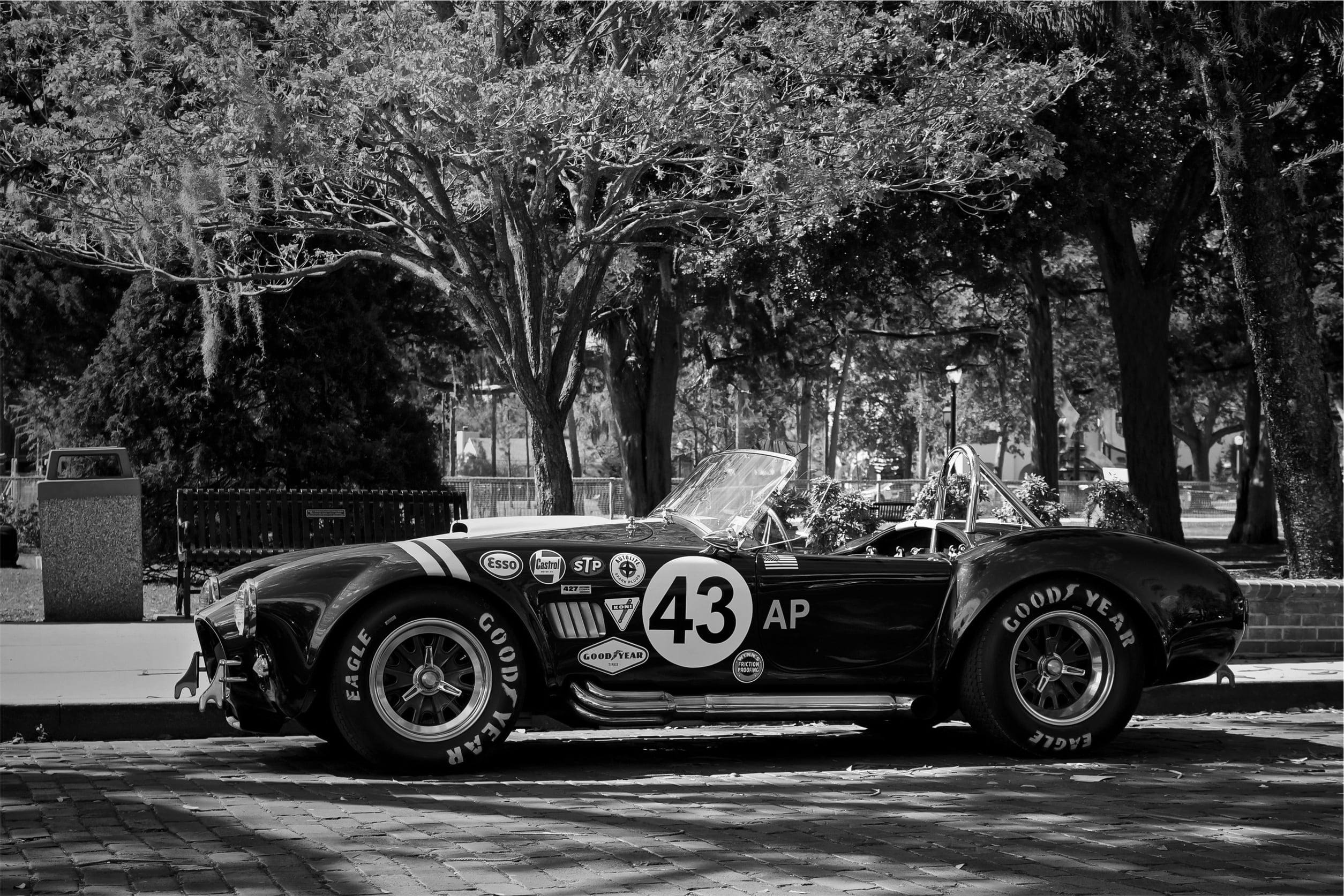 plant, branch, 1080P, car, oldschool, street, convertible, classic, grayscale, trunk, scale, photo, no people, mode of transportation, Cobra, tires, day, HD Wallpaper