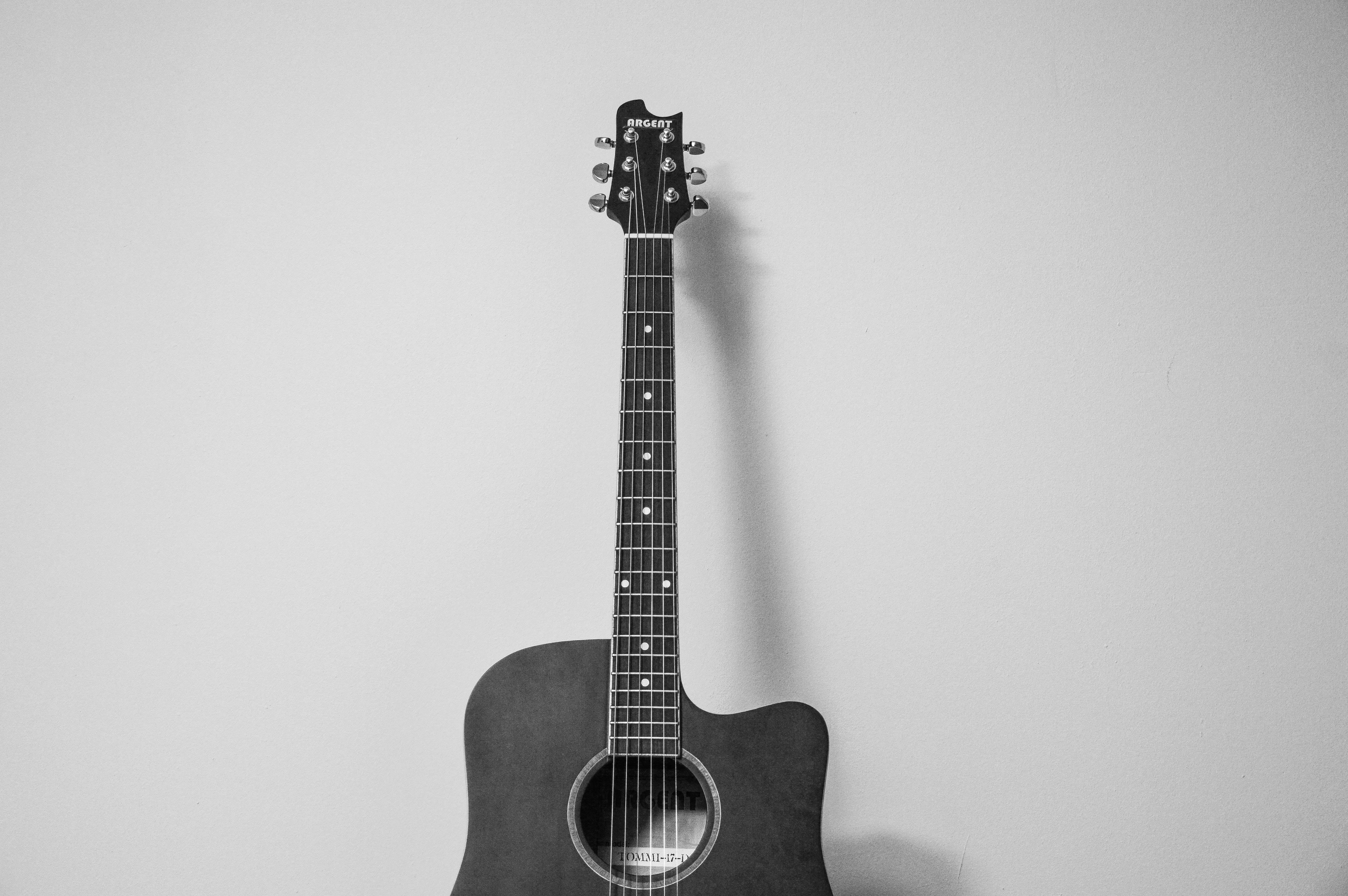string instrument, instrument, cutaway, string, indoors, acoustic, white background, arts culture and entertainment, wood - material, single object, music, HD Wallpaper