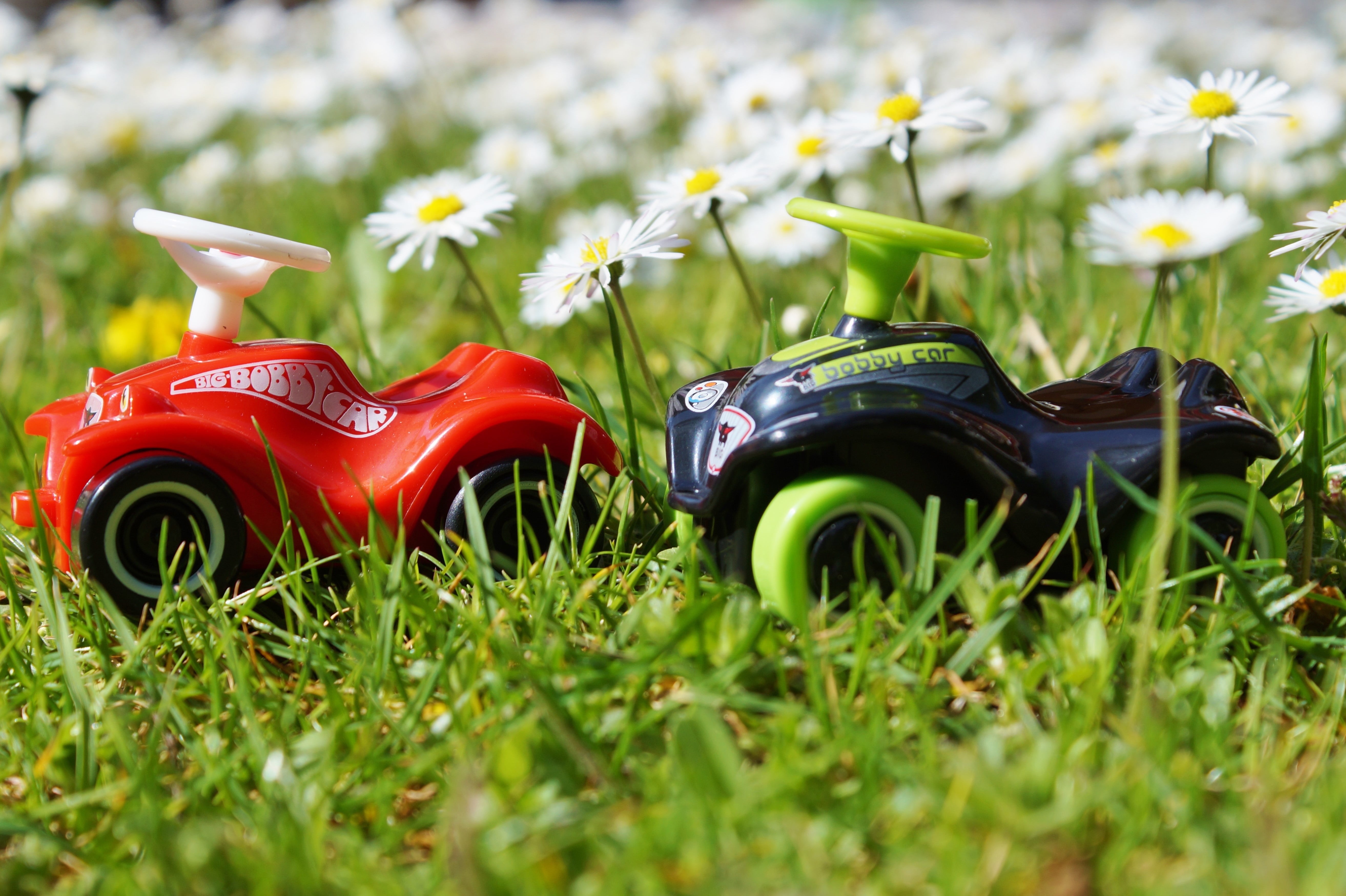 green color, sports car, meadow, 5K, model, field, no people, grass, flower, two, blue, plant, automotive, mode of transportation, covered, bobby car, HD Wallpaper