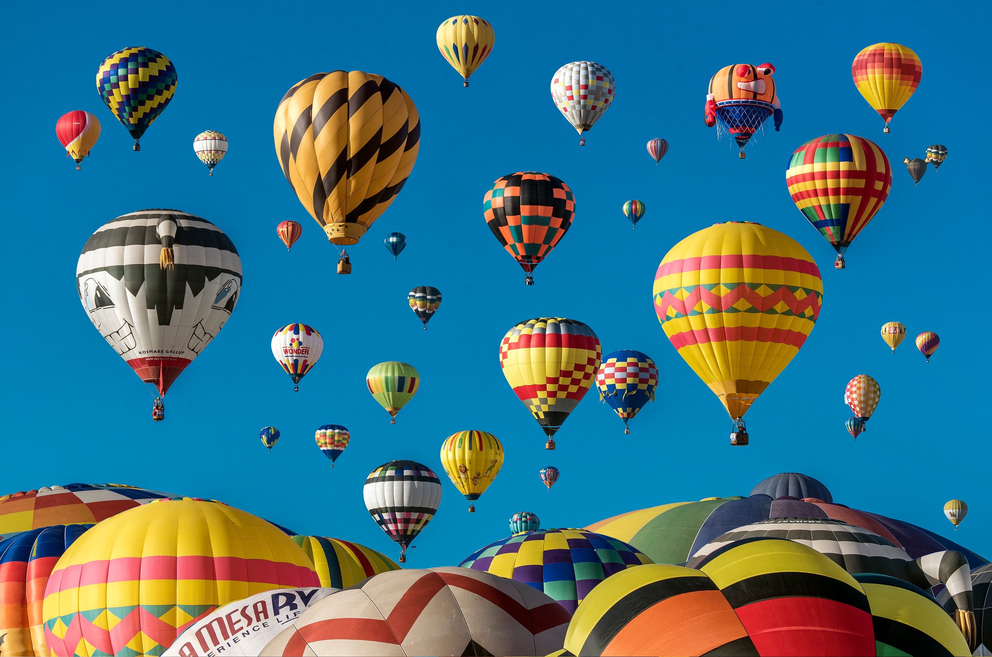 transportation, mode of transportation, variation, 2K, nature, no people, fly, colorful, mid-air, air vehicle, hot, air, festival, low angle view, balloons, HD Wallpaper