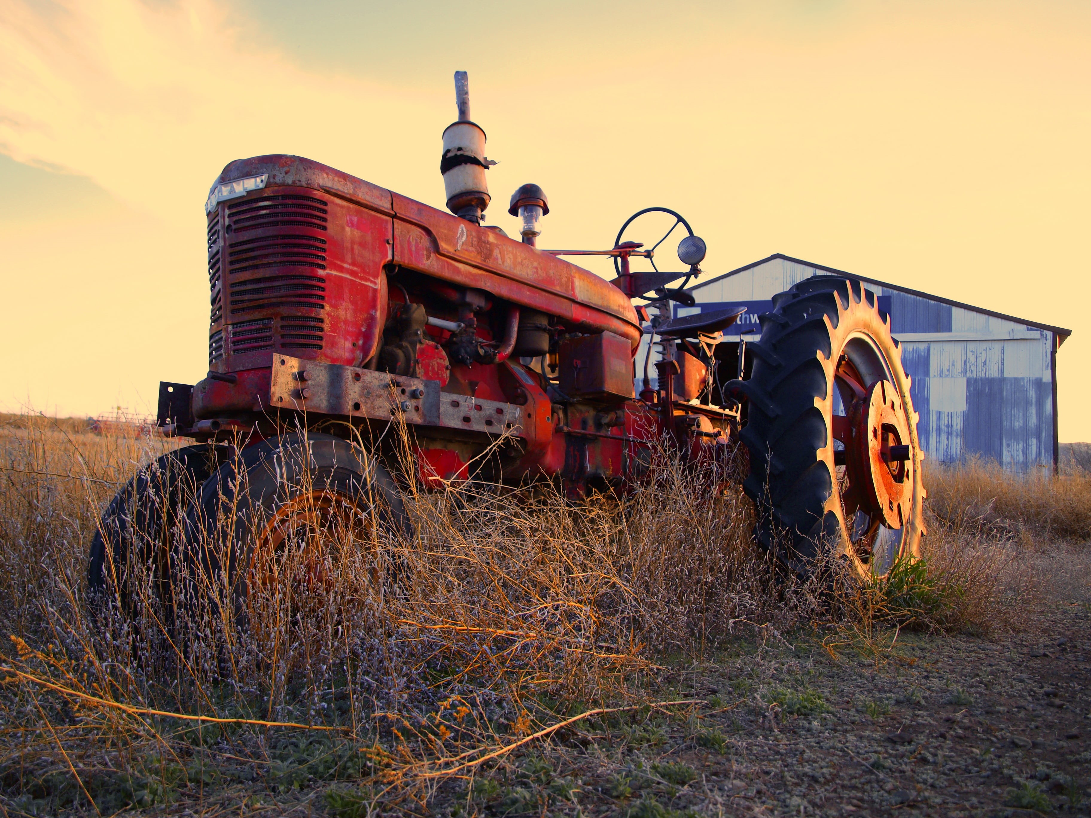 plowing, antique, rural Scene, industry, 2K, land, rusted, plant, transportation, grass, equipment, plow, no people, red, beautiful, farming, outdoors, HD Wallpaper