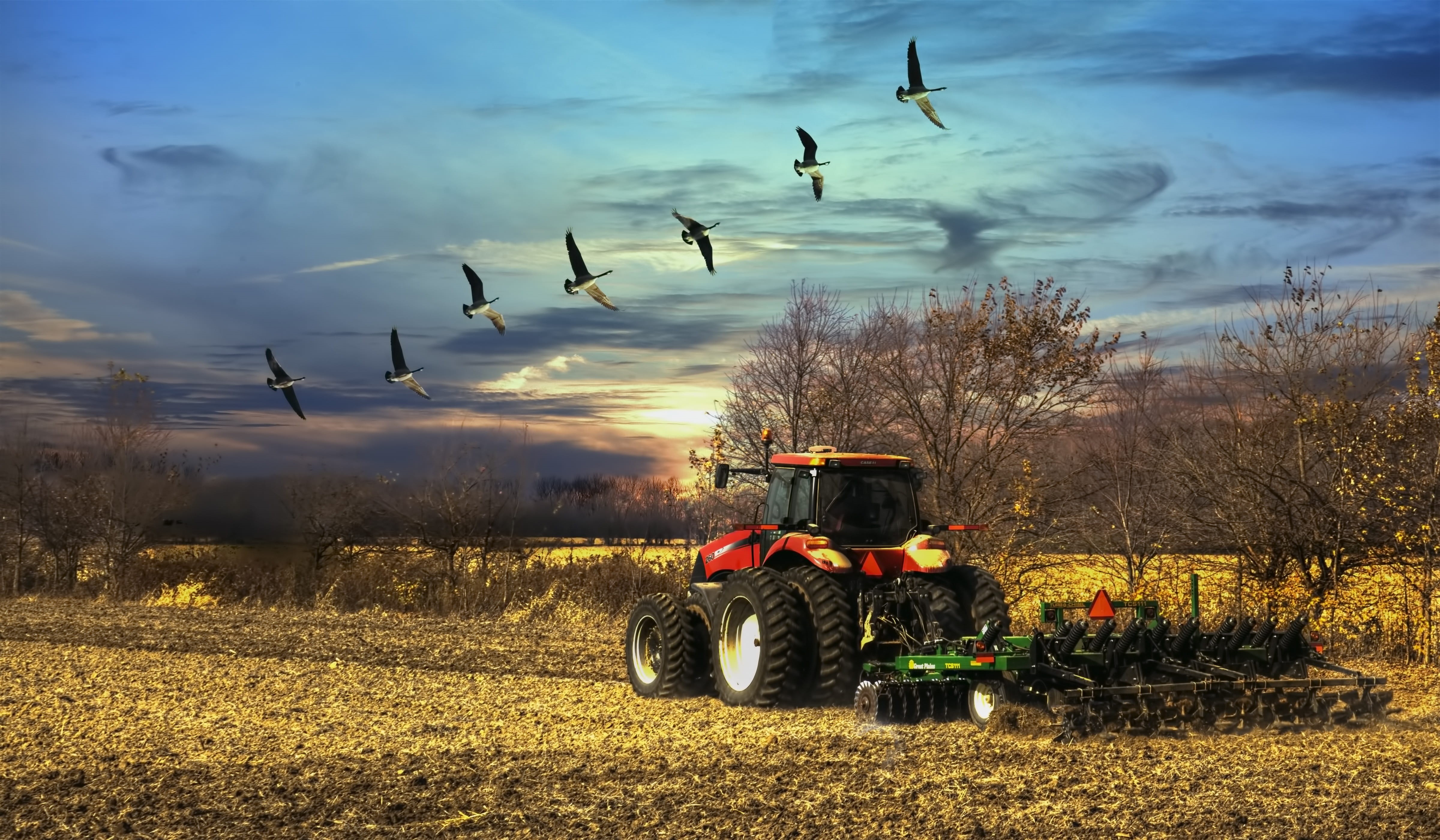 blue sky, foliage, clouds, dusk, photo, cloudy sky, black, county, trees, flowers, 4K, agricultural equipment, greenery, scenery, nature, bill sturgell, HD Wallpaper