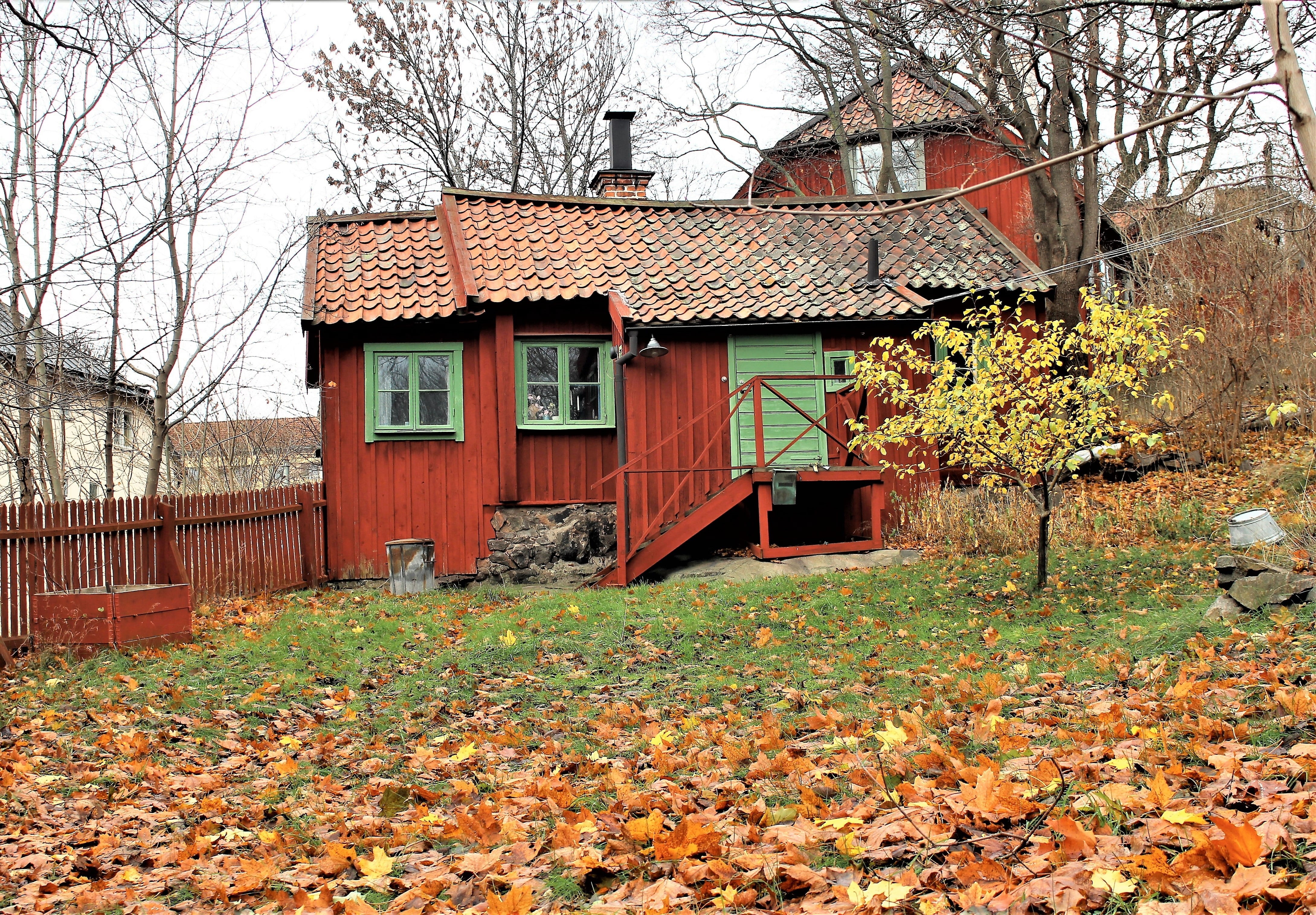 day, autumn leaves, old house, peaceful, door, wooden house, fallen leaves, falu rödfärg, södermalm, brown, facade, building, swedish, autumn day, yellow leaves, HD Wallpaper