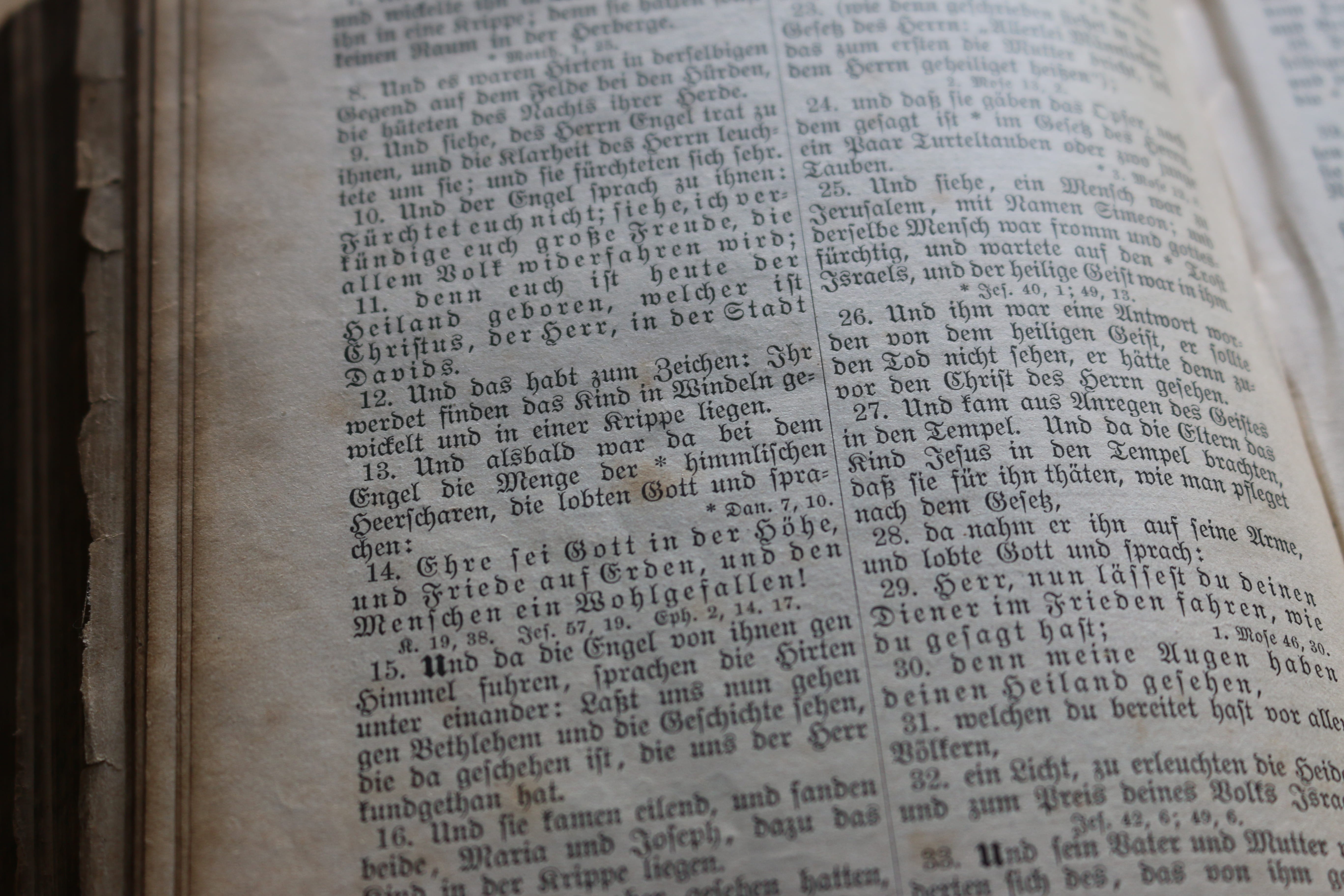western script, 5K, jesus, white, christ, Bible, church, education, selective focus, new testament, christian, indoors, angel, book, religion, god, message, HD Wallpaper