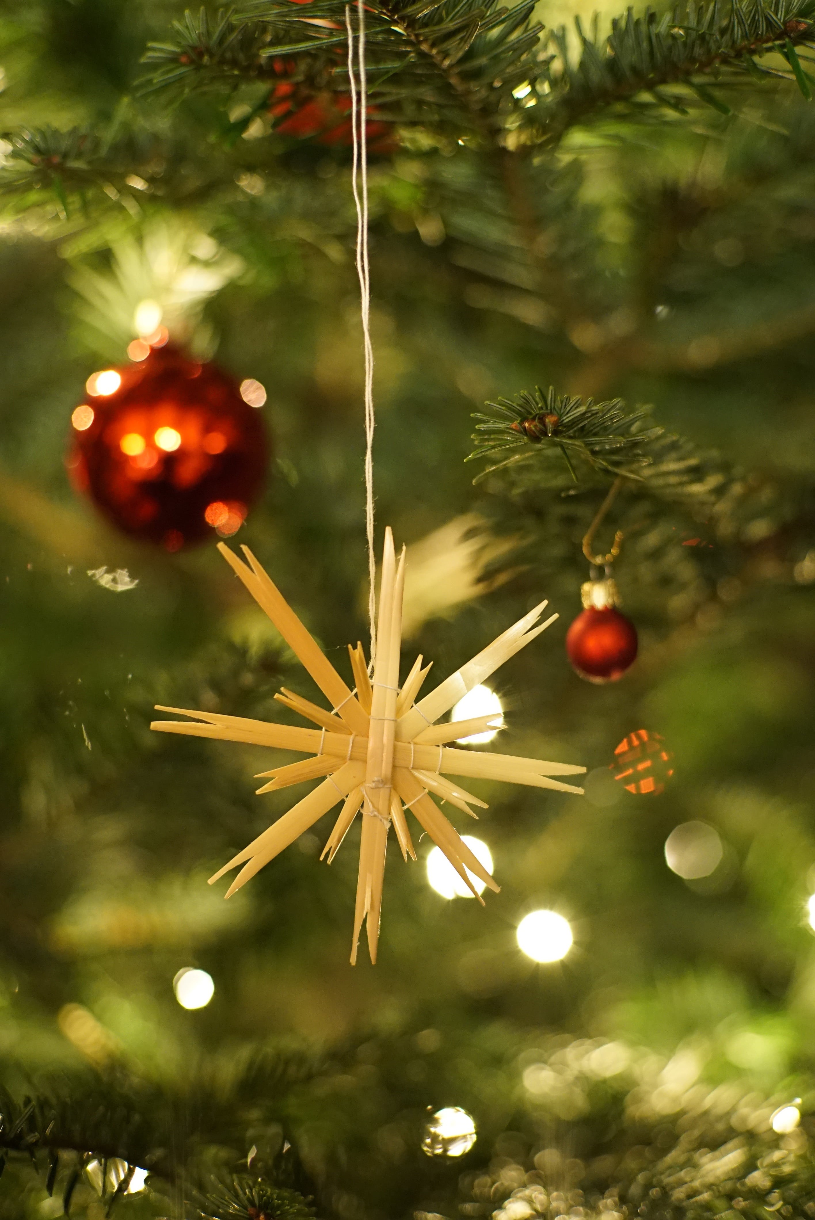 hanging, father christmas, focus, decor, christmas Decoration, christmas time, christmas eve, lights, shiny, photo, weihnachtslieder, light, red, decoration, Phone HD Wallpaper