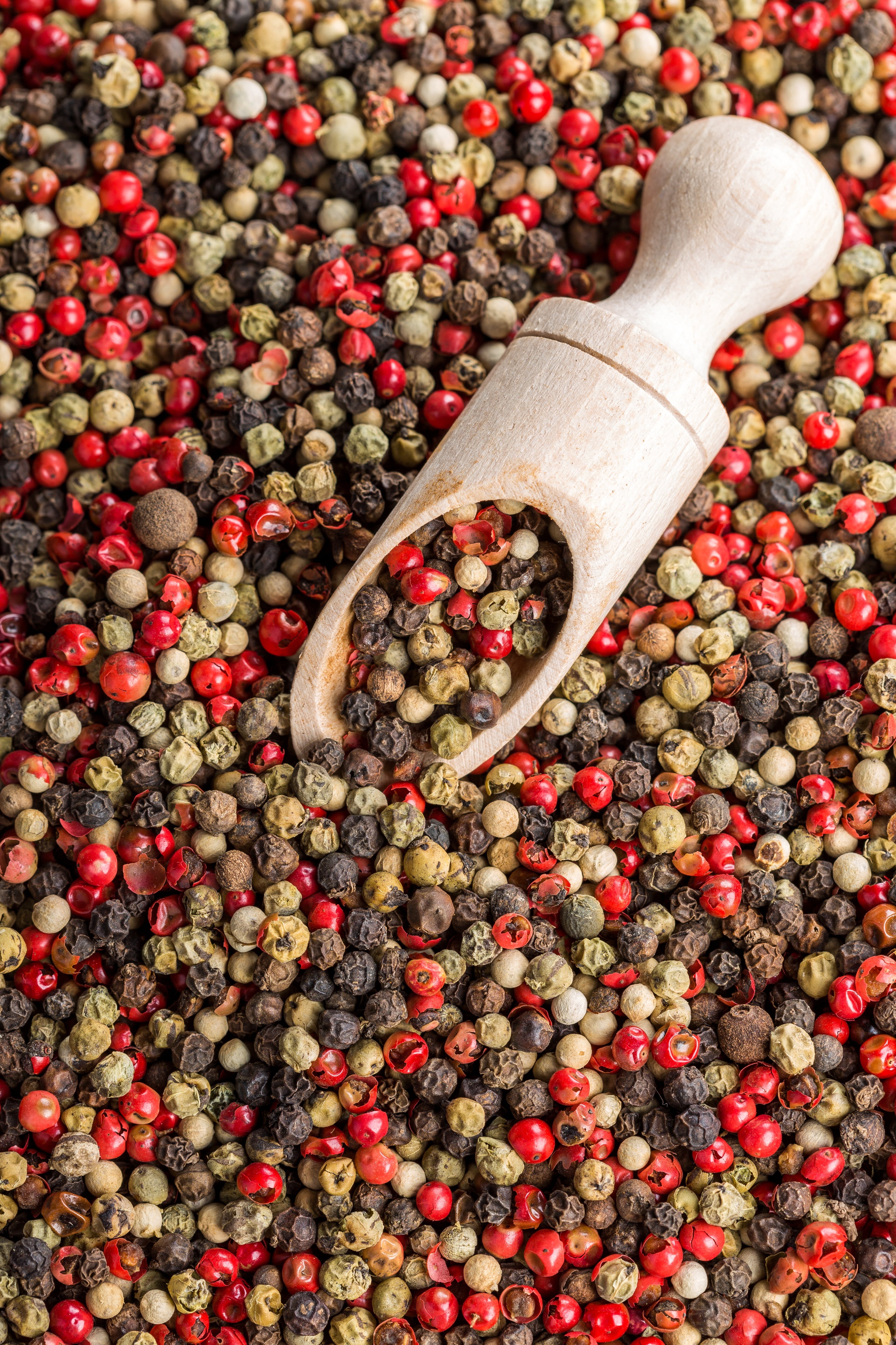 red pepper, seasonings, odor, abundance, aroma, ingredient, healthy eating, bazaar, 5K, healthy lifestyle, food and drink, spice, pepper mix, full frame, Phone HD Wallpaper