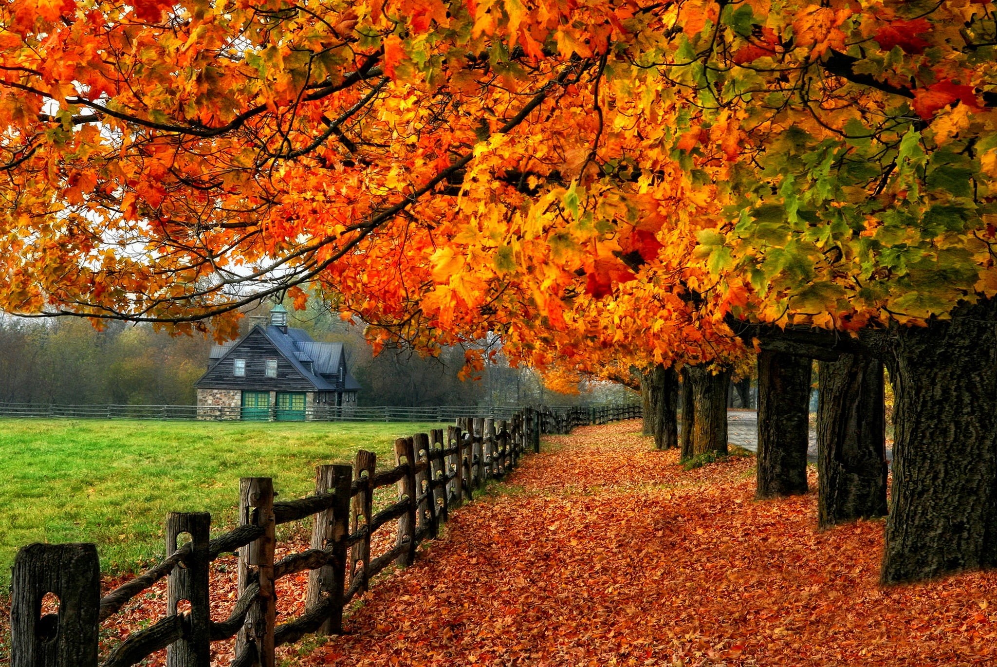 gold Colored, vermont, mirrored, scenics, trees, autumn collection, scenics - nature, colorful, brown, wooden, no People, branches, foliage, beauty In Nature, HD Wallpaper