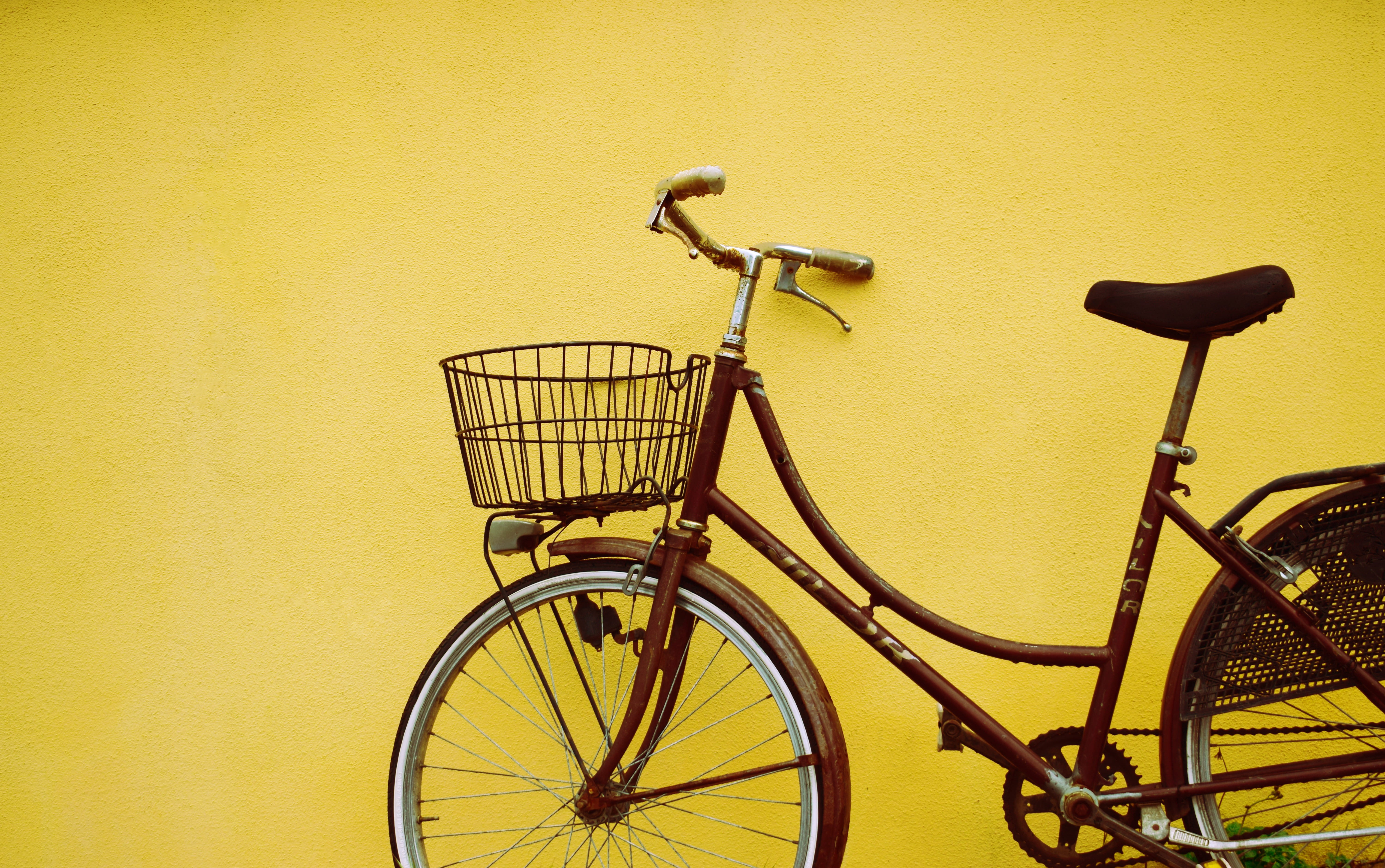 female, basket, land vehicle, no people, 5K, bicycle, park, beach, nature, wall - building feature, vintage, absence, bicycle basket, leaning, beside, HD Wallpaper