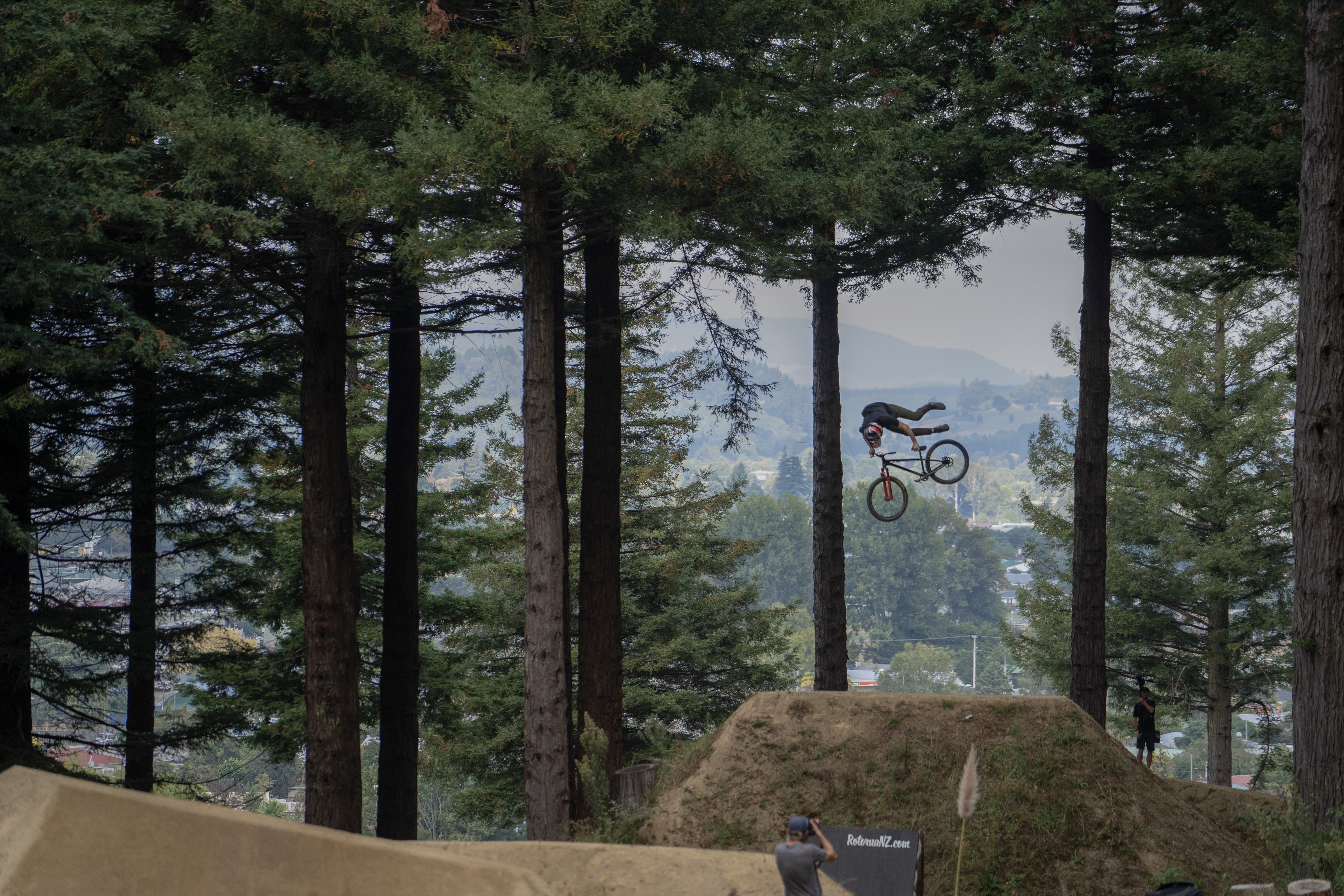 tree, human, crankworx, adventure, land vehicle, nature, vehicle, wheel, growth, sport, forest, bicycle, day, machine, person, action, real people, people, HD Wallpaper