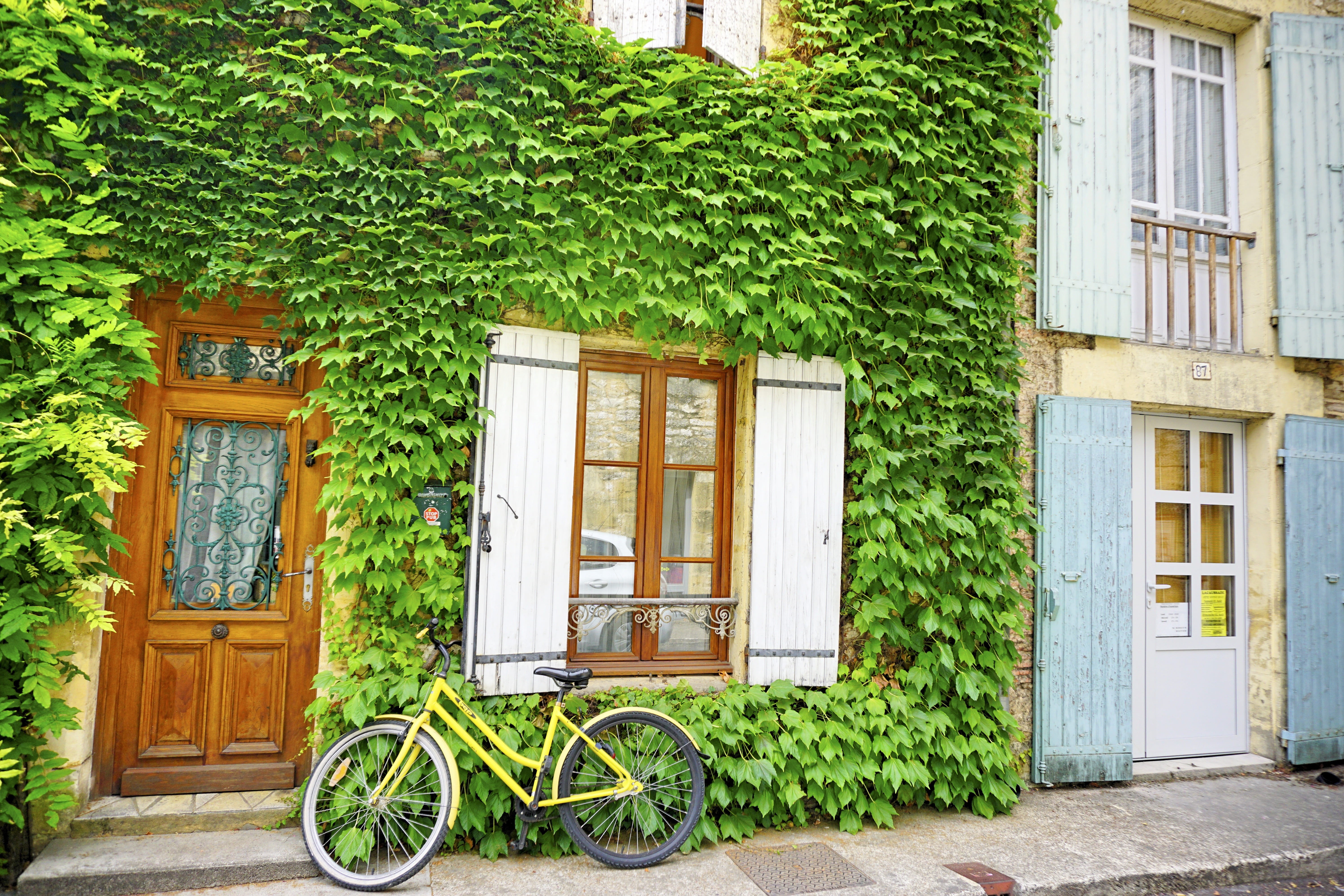outdoors, europe, parked, ivy, yellow, s, street, 5K, window, day, old, closeup, step through frame, facade, residential, green color, france, wall, photography, HD Wallpaper
