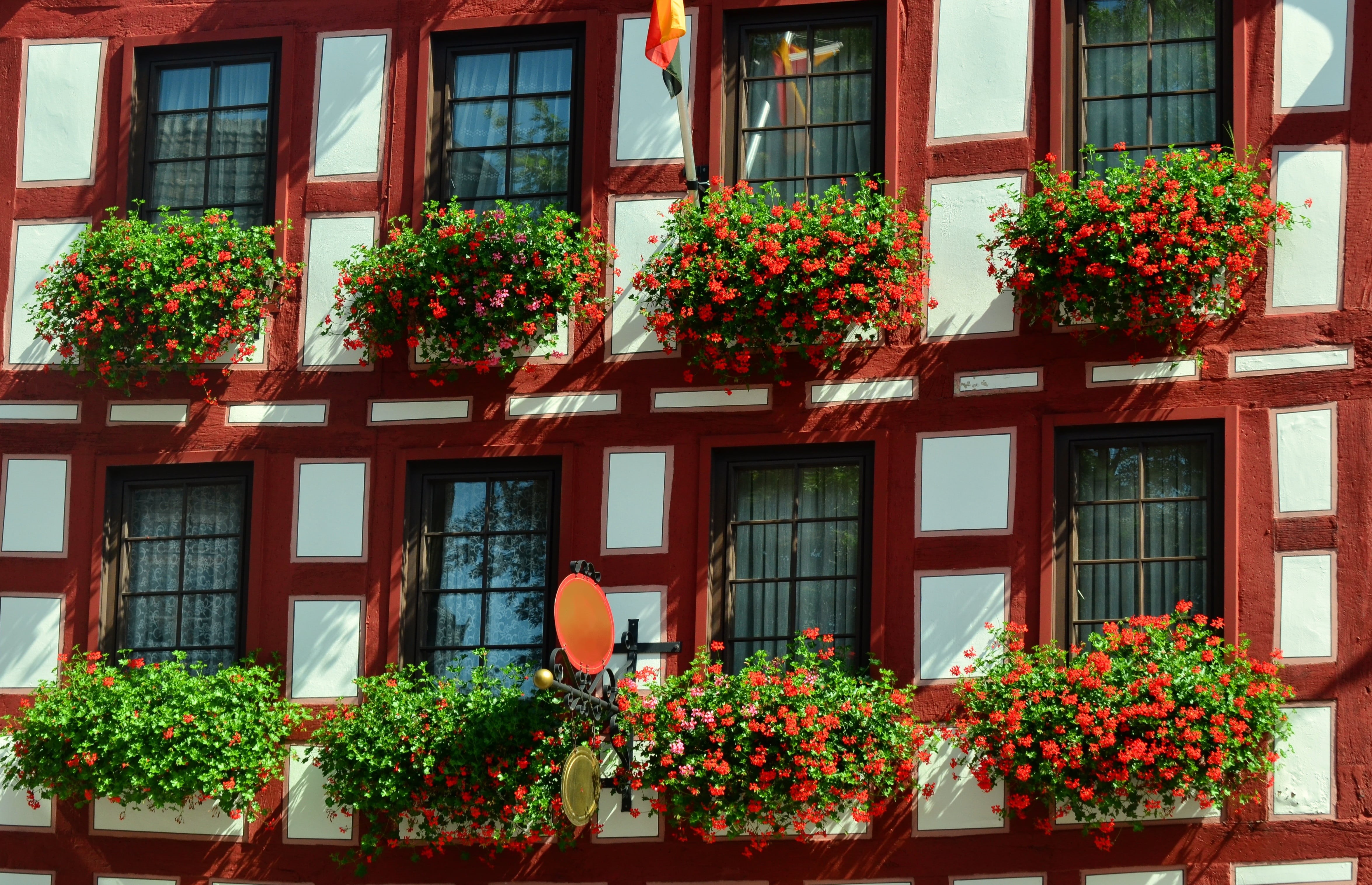 concrete, growth, flowering plant, balcony, white, truss, plant, gardening, petaled, flowerbed, geranium, fachwerkhaus, vulnerability, potted plant, facade, HD Wallpaper