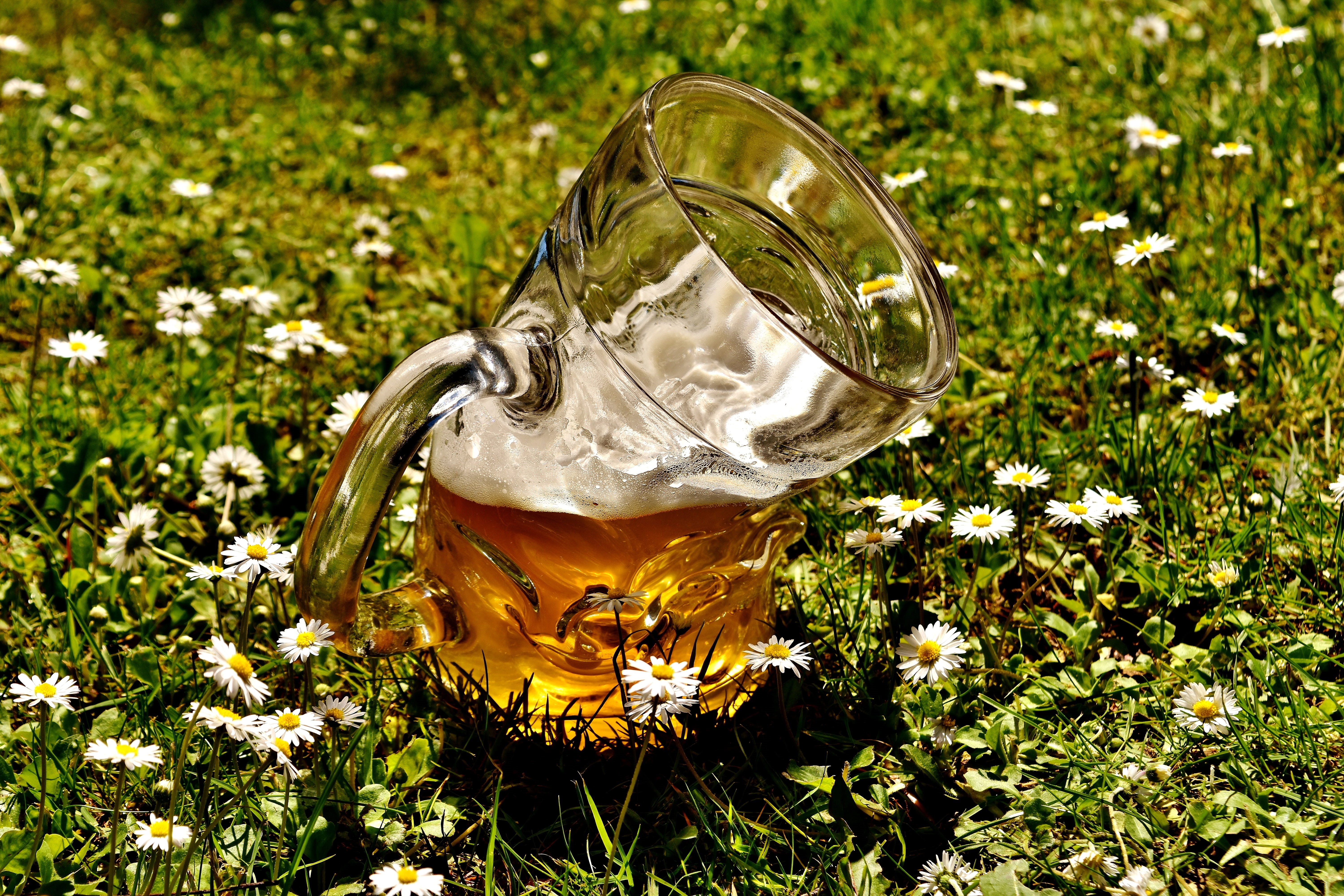 beer mug, glass - material, day, land, growth, brow, green color, bent, 5K, bavaria, trueb, liquid, outdoors, nature, Deformed, prost, wheat, mug, metal, HD Wallpaper