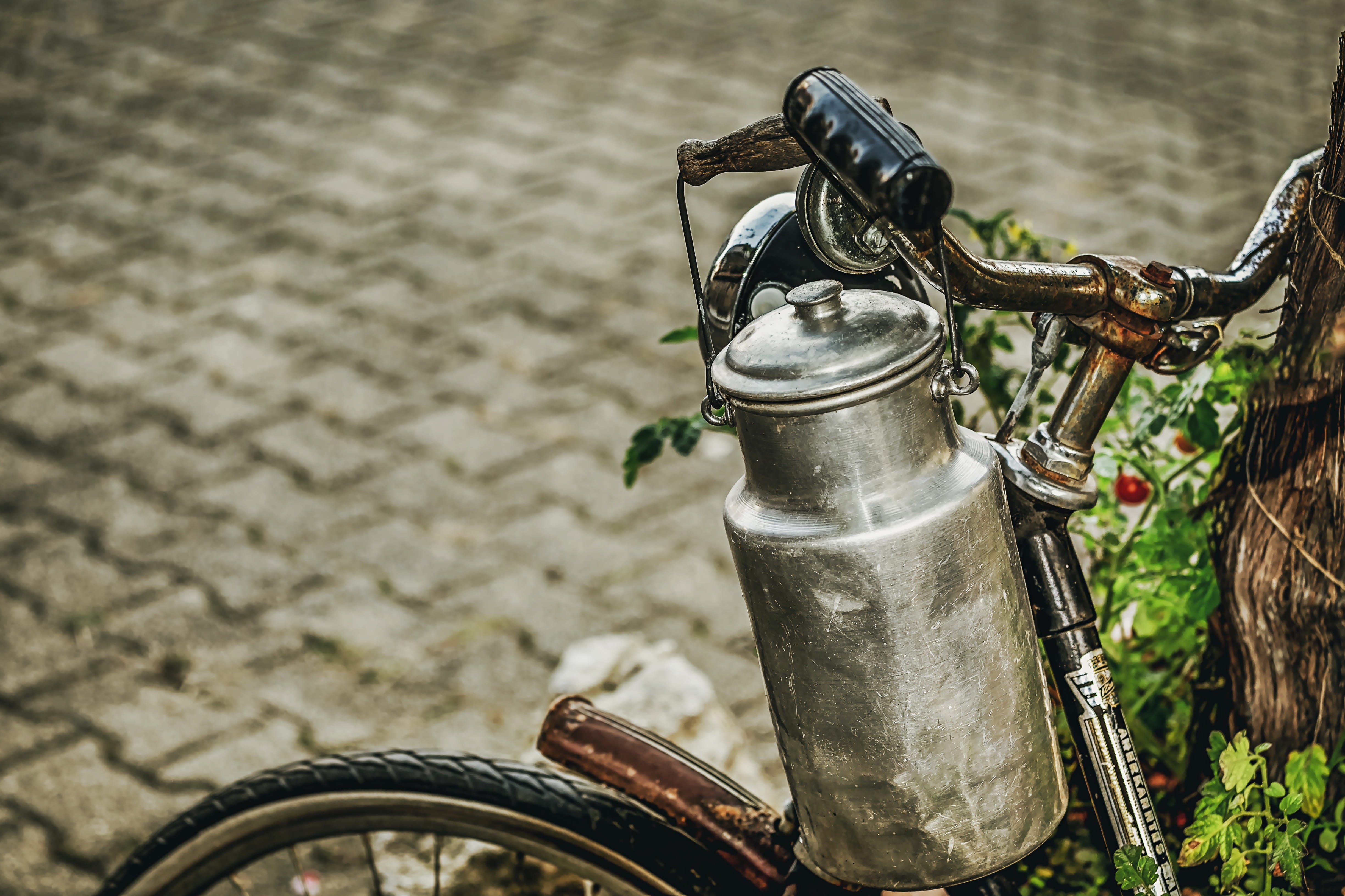 still life, day, high angle view, focus on foreground, land, street, stationary, silver colored, nature, romantic, old, bicycle, metal, mode of transportation, HD Wallpaper