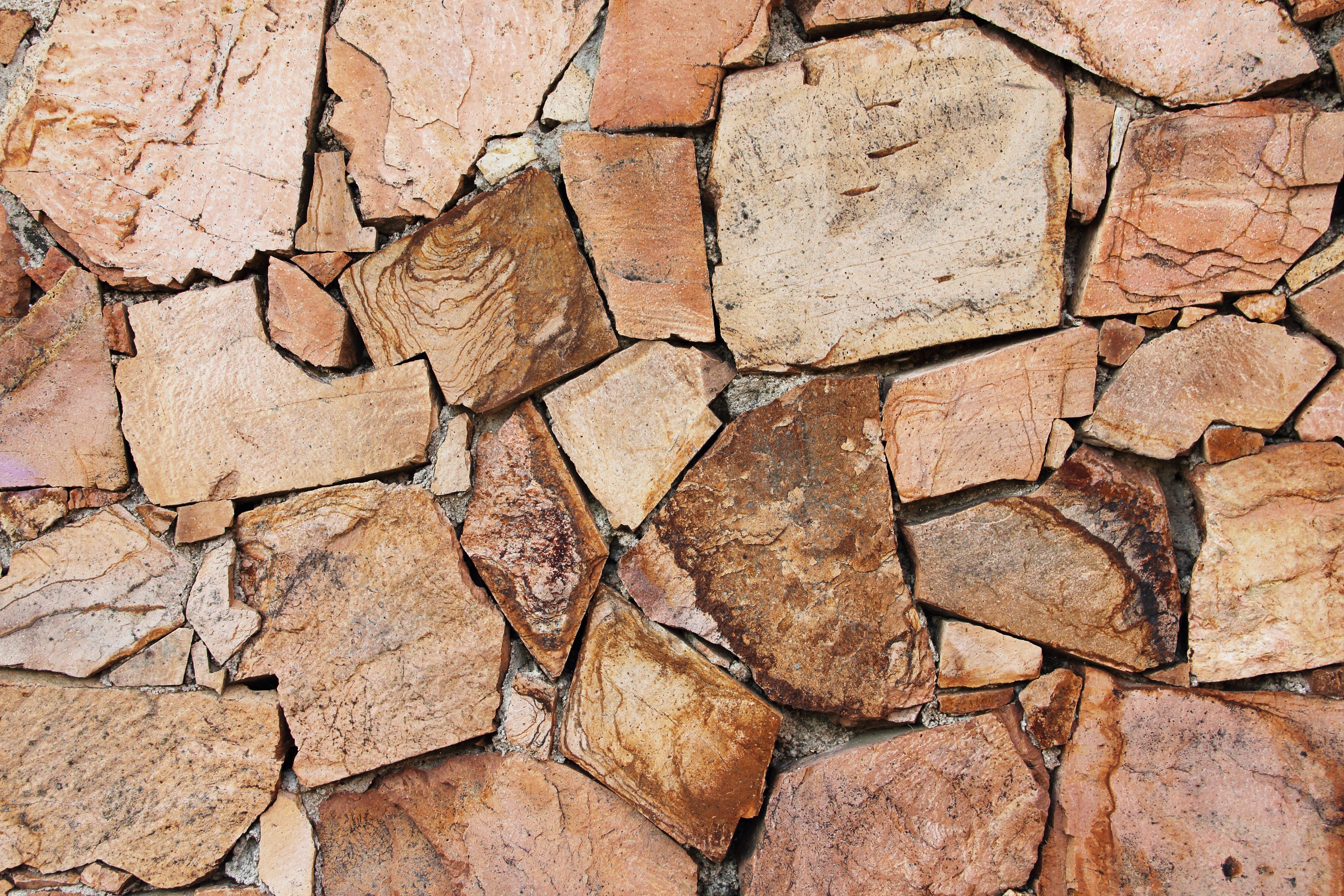 forest, photo, arid climate, climate, asymmetry, dry, tile, full frame, backgrounds, no people, closeup, day, brown, stone, environment, tree, natural pattern, HD Wallpaper