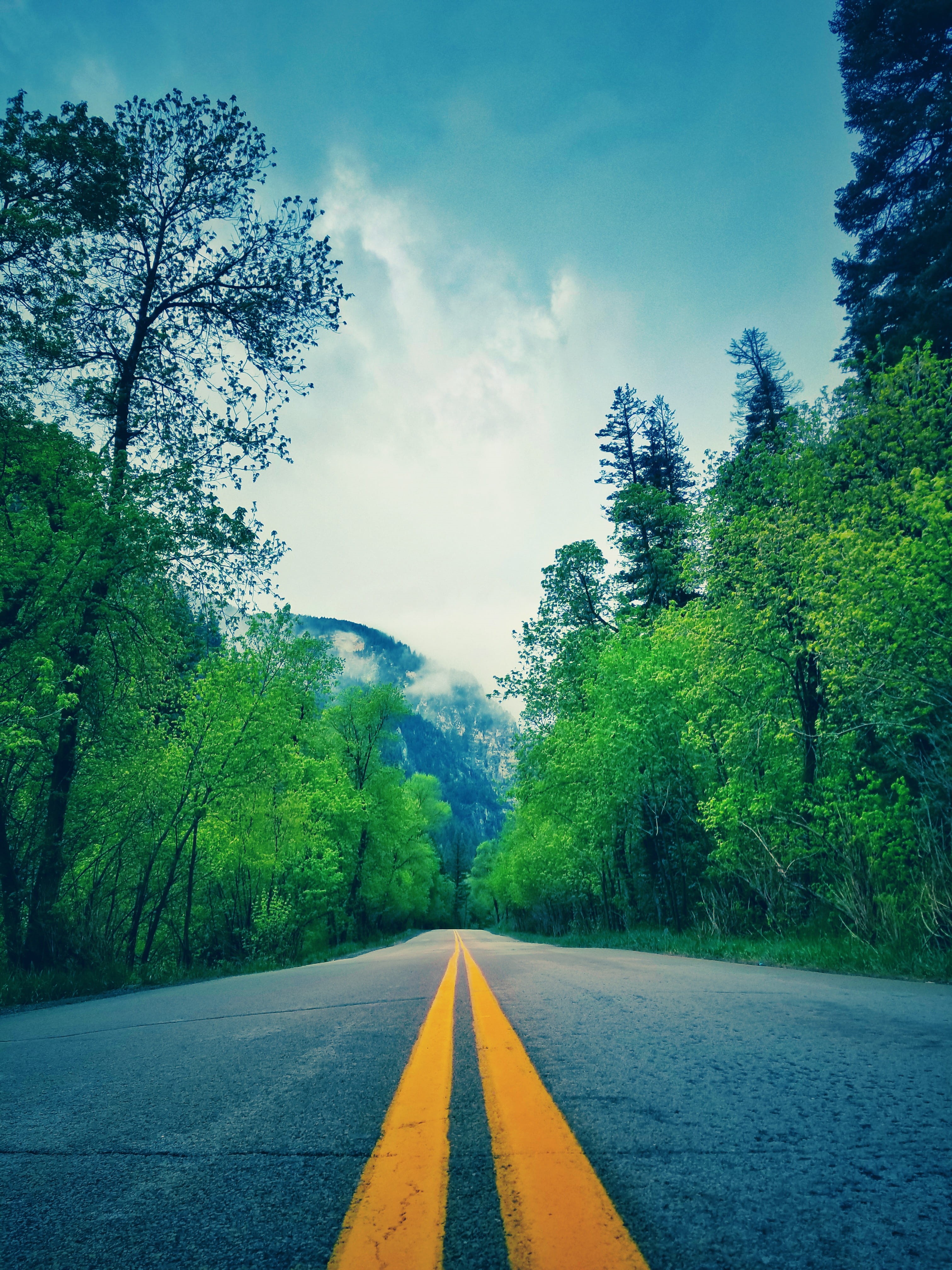 car, green color, dividing line, drive, sign, green, marking, landscape, guidance, road marking, day, asphalt, no people, empty road, perspective, the way forward, Phone HD Wallpaper