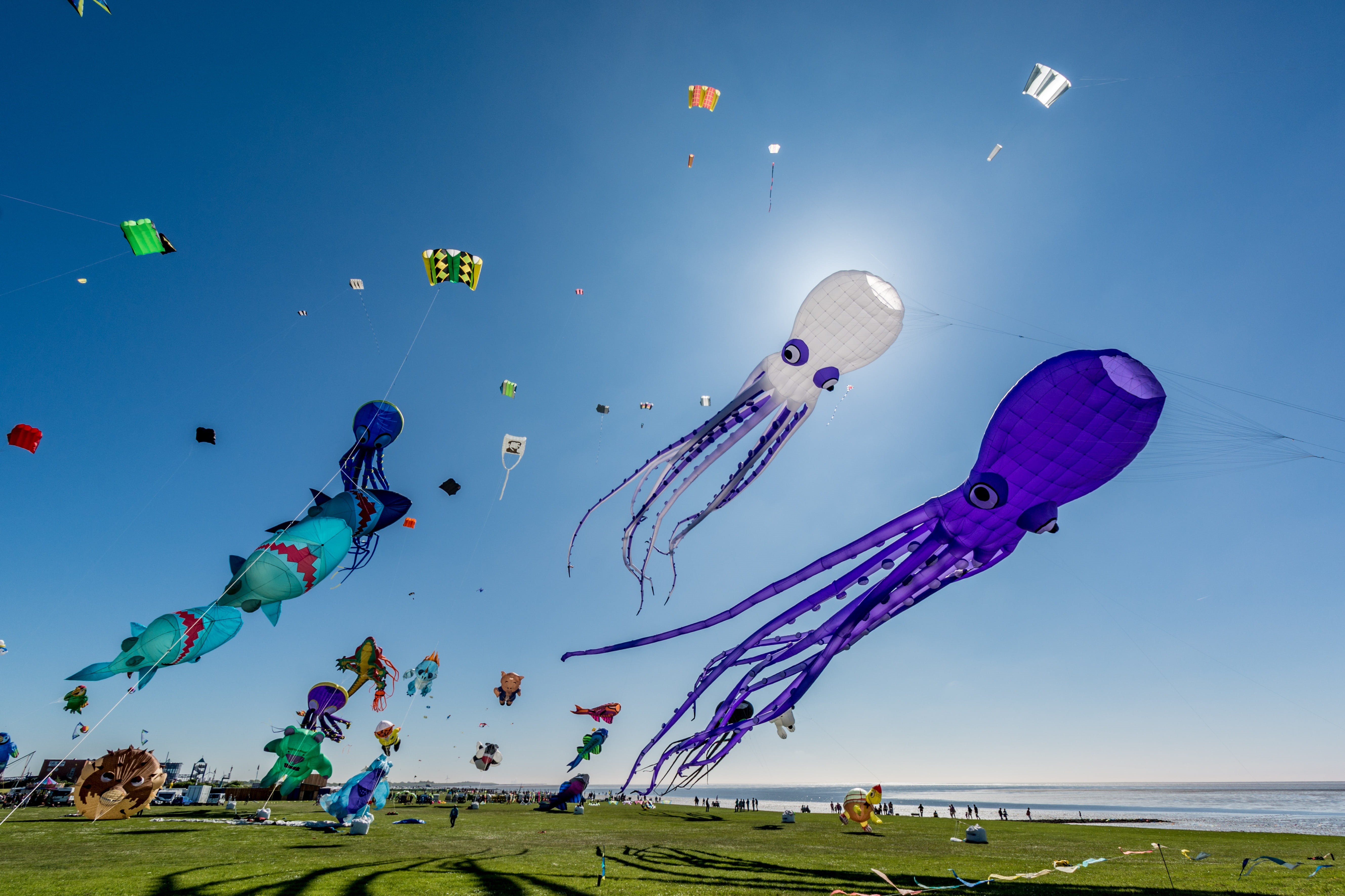 nature, leisure activity, environment, 5K, wind, North Sea, flying, multi colored, blue, people, day, holiday, sea, Beach, Norddeich, underwater, incidental people, HD Wallpaper