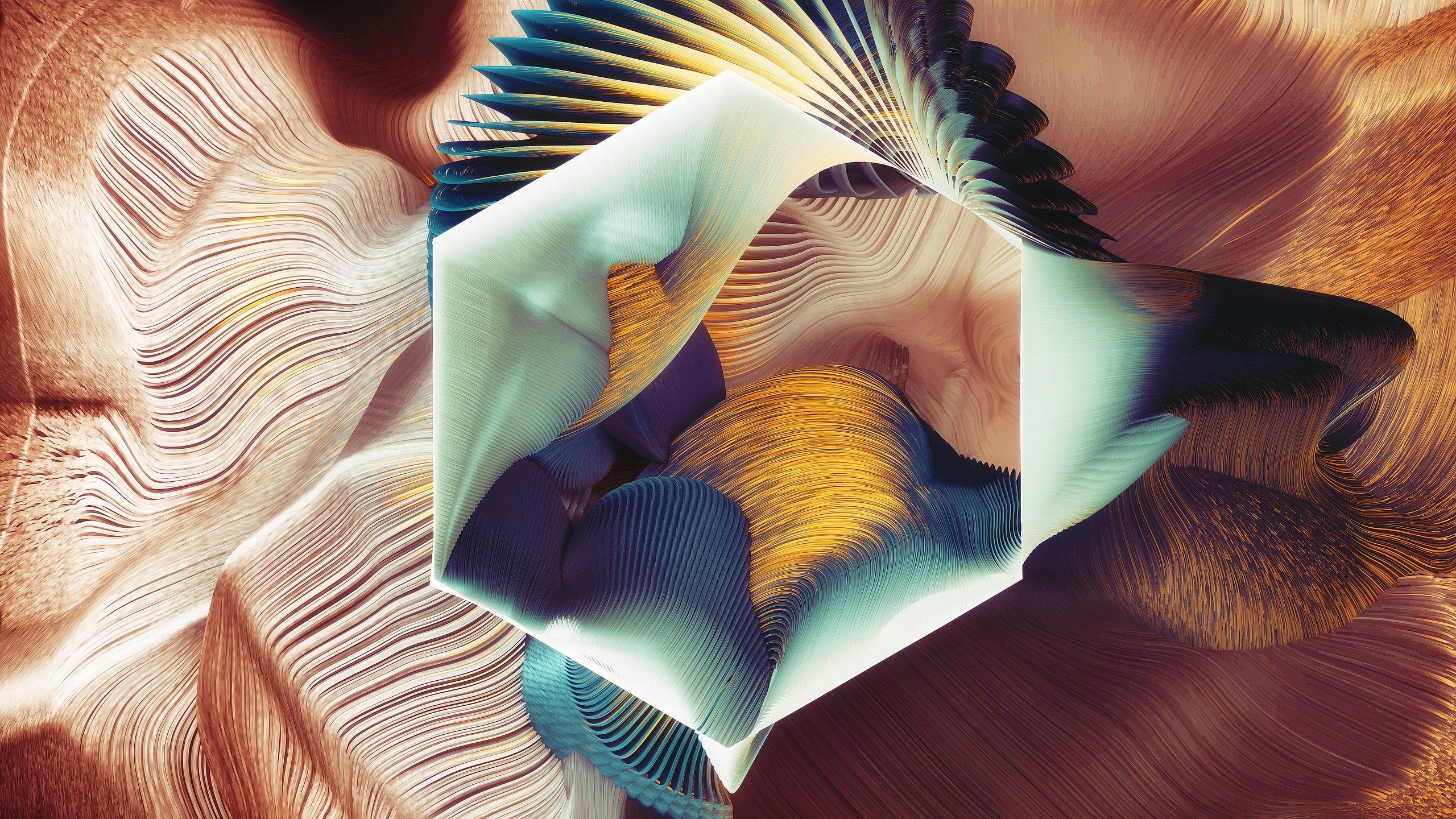 2K, Plumes, Square, HD Wallpaper