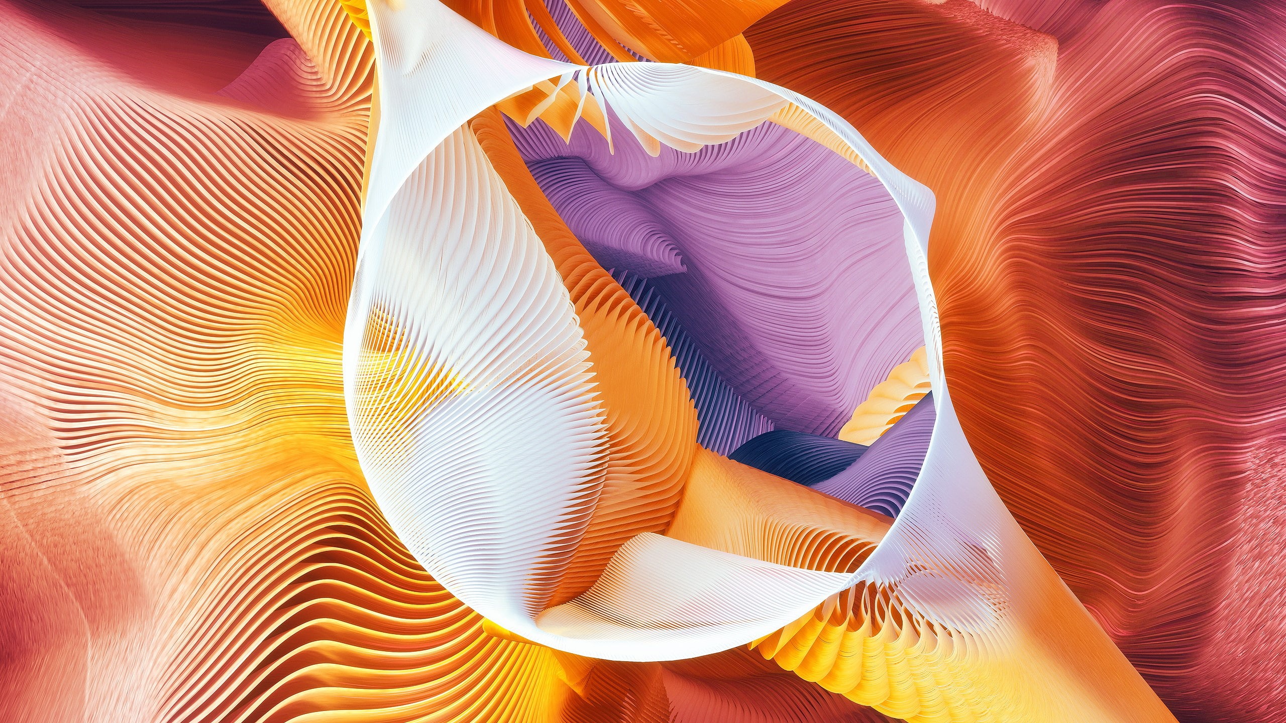 Circle, 2K, Plumes, HD Wallpaper
