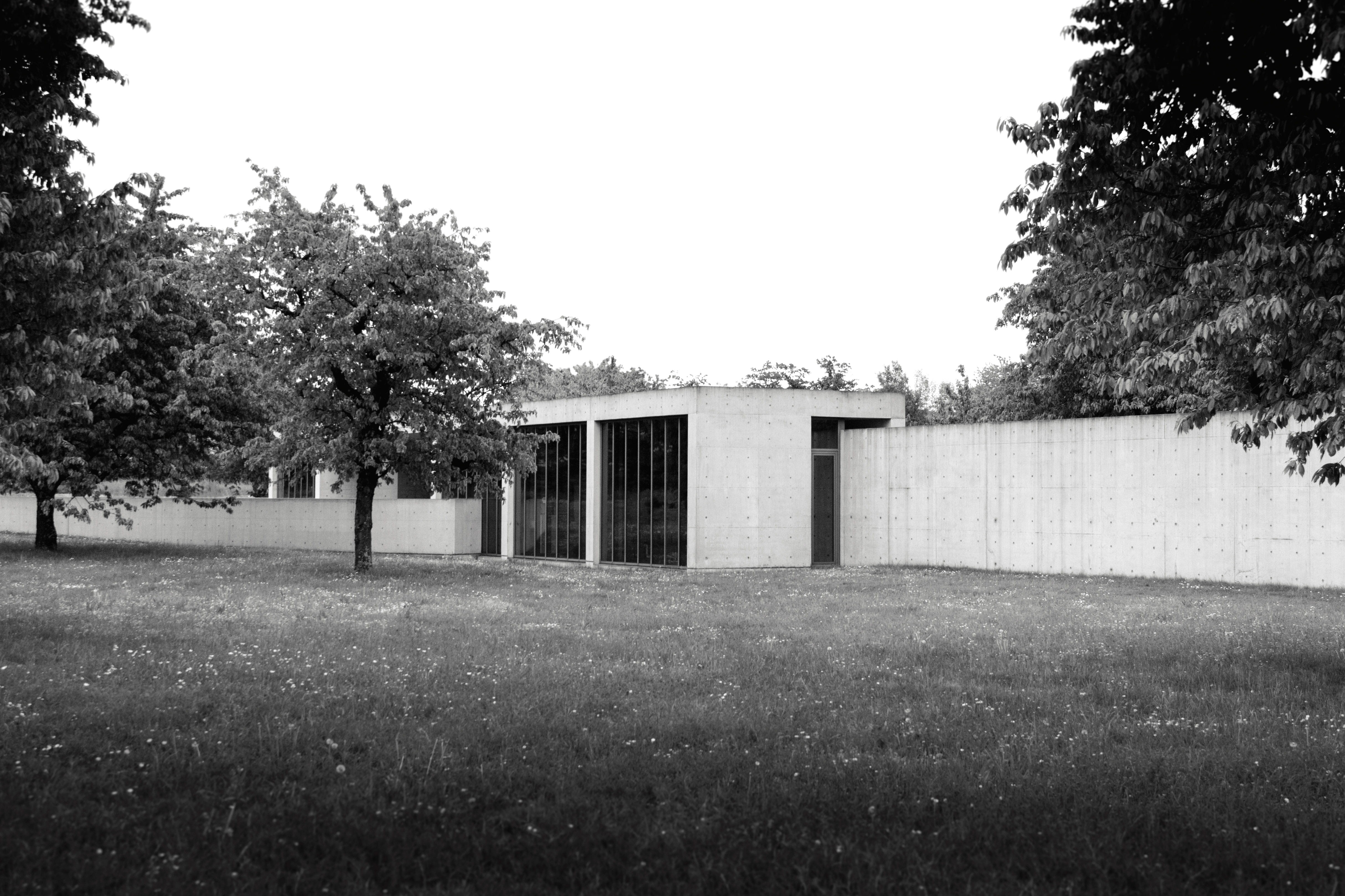 tadao ando, environment, black, house, trees, tranquility, nature, vitra conference pavilion, simple, glass, field, sky, landscape, growth, weil am rhein, HD Wallpaper
