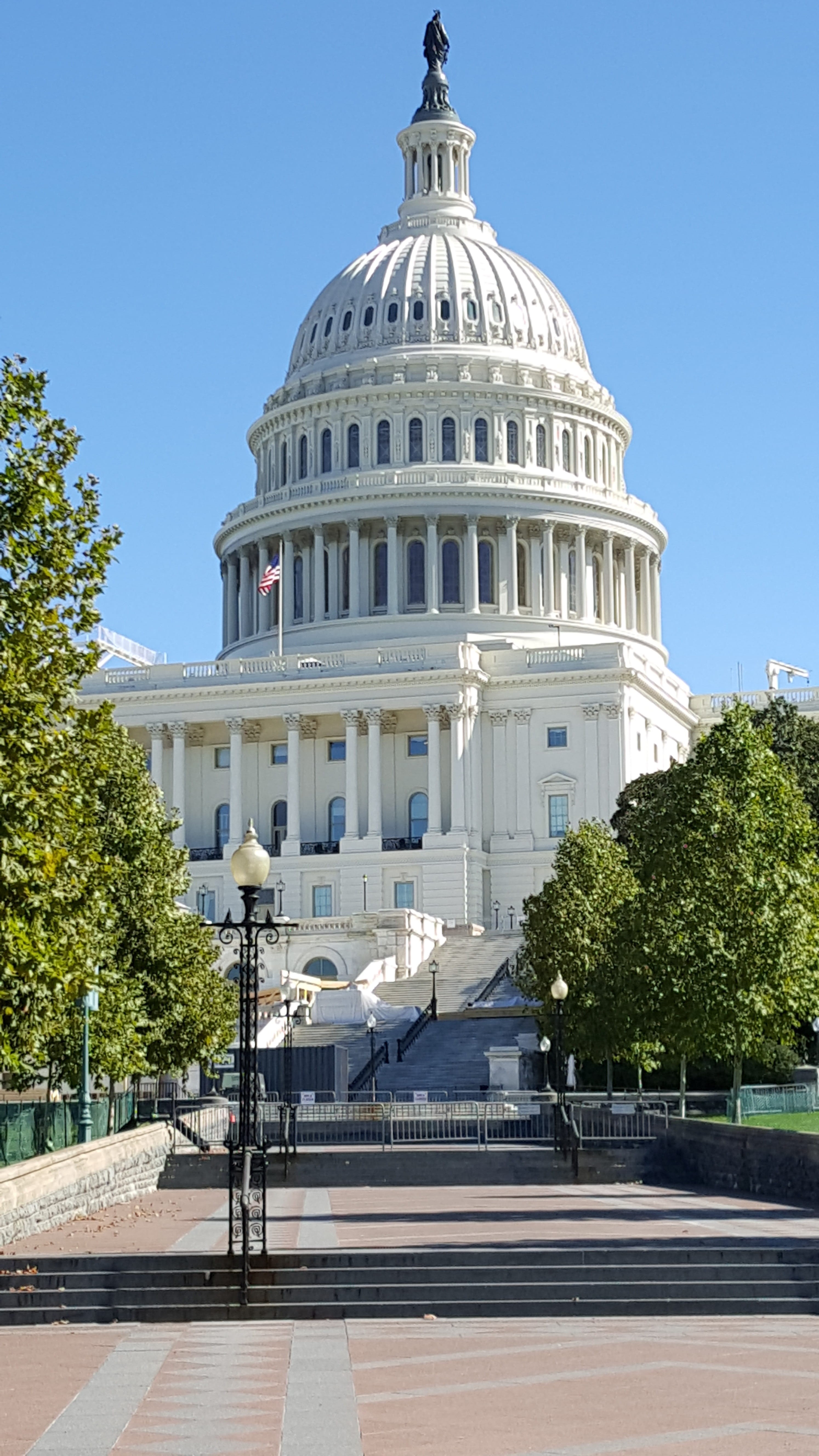 day, dome, usa, building, washington, sky, politics, architectural column, building exterior, tree, Building, sunlight, no people, Dc, neo-classical, authority, Phone HD Wallpaper