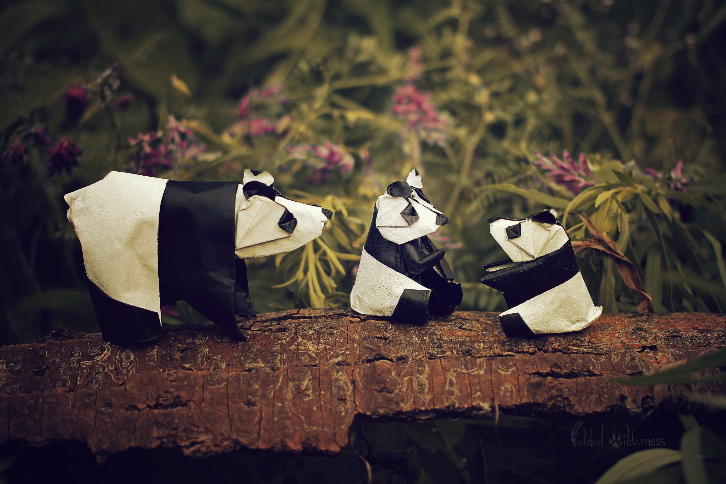 panda, tree, selective focus, rock - object, representation, nature, outdoors, clothing, no people, leaf, 1080P, rock, solid, animal, growth, close-up, HD Wallpaper