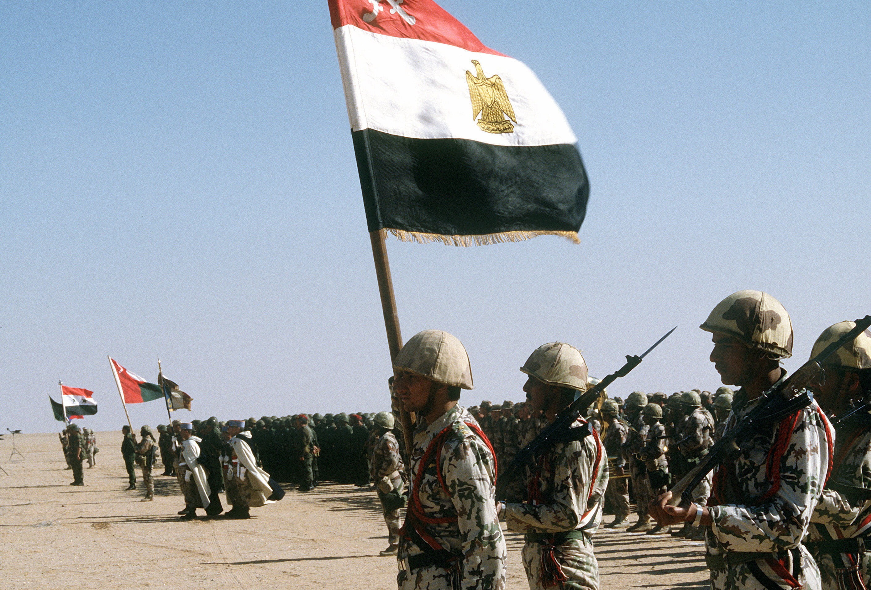 government, group of people, uniform, troops, Kuwait, nature, soldiers, army soldier, large group of people, adults only, coalition, 2K, military uniform, HD Wallpaper