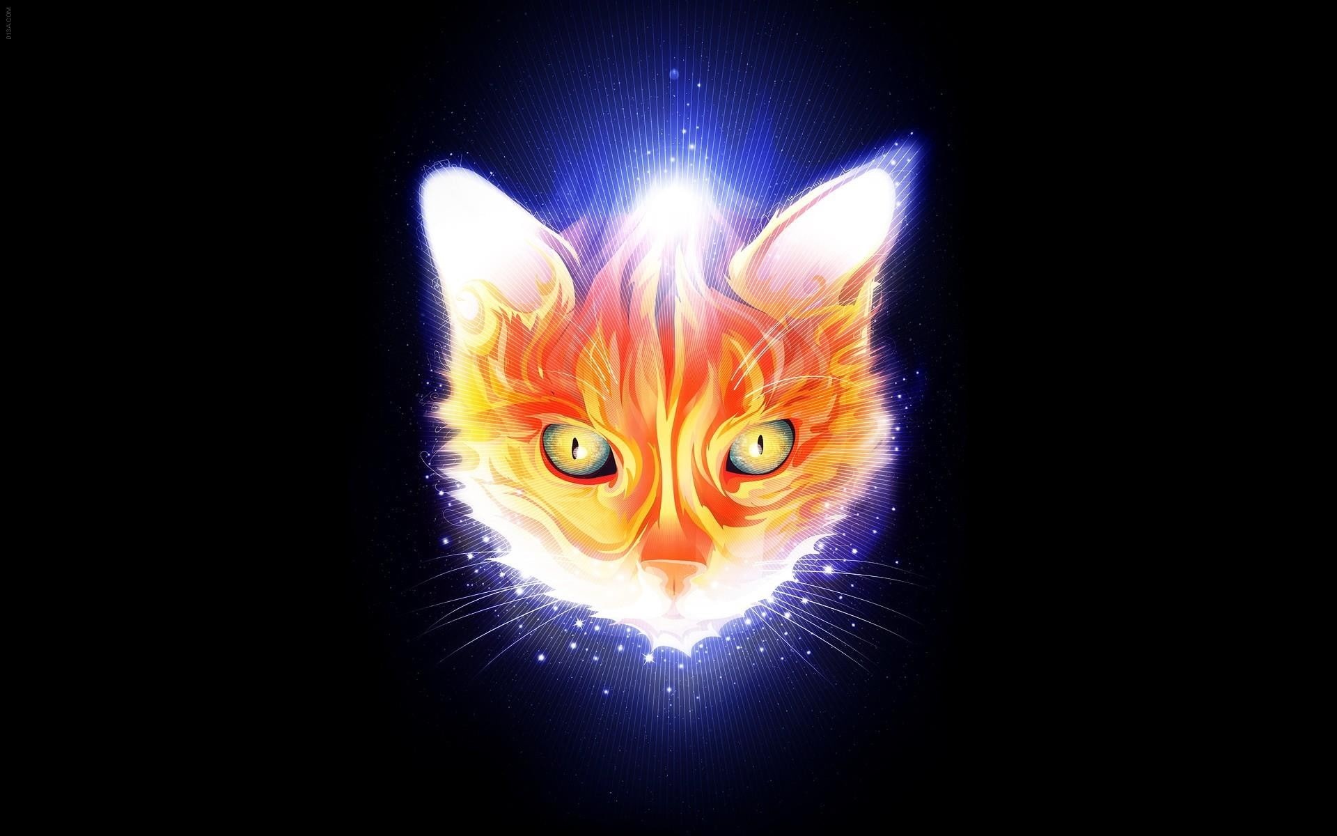 artwork, glowing, cat, black background, 1080P, Matei Apostolescu, HD Wallpaper