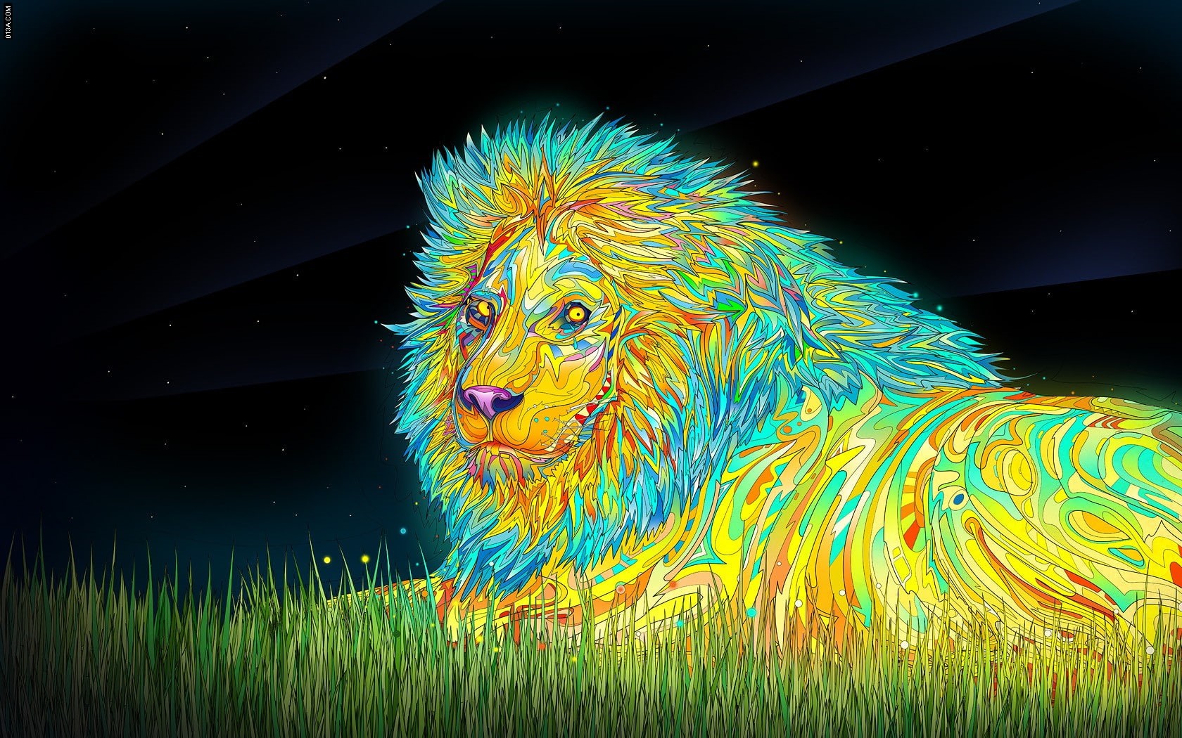 colorful, animals, Matei Apostolescu, digital art, lion, psychedelic, 720P, HD Wallpaper