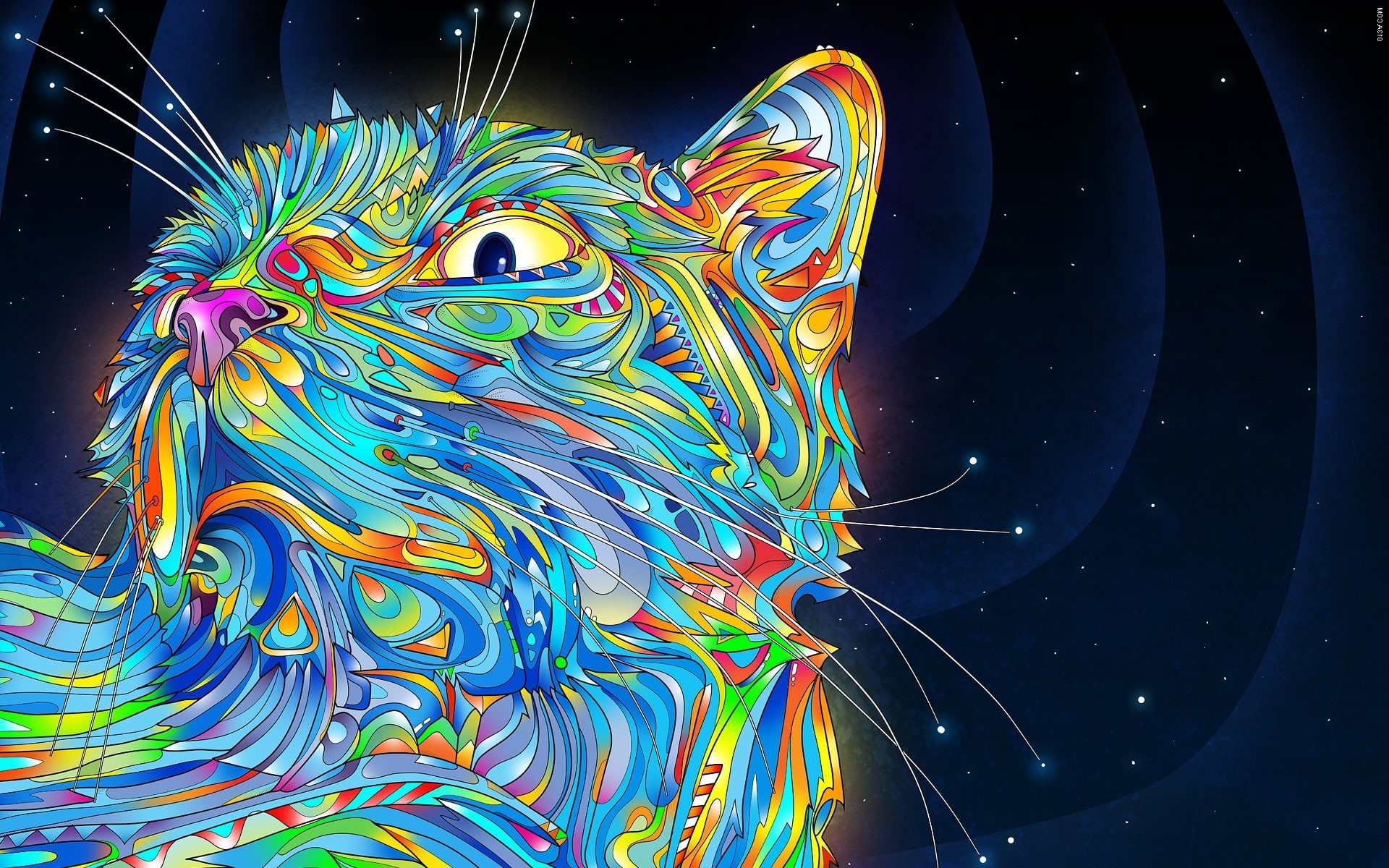 water, vertebrate, nature, animal themes, close-up, star - space, 1080P, multi colored, creativity, animal wildlife, space, motion, night, outdoors, animals abstract matei apostolescu cat psychedelic colorful, HD Wallpaper