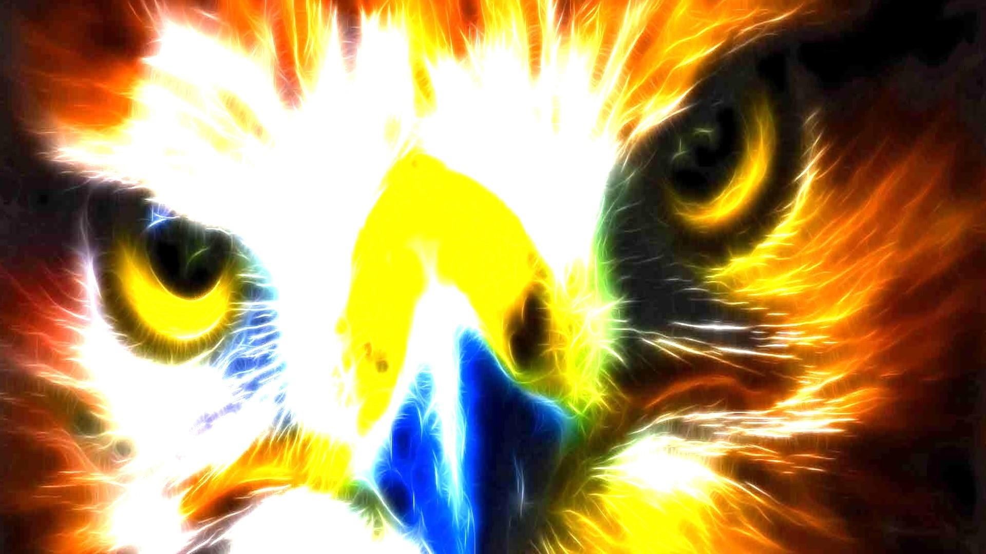 animal wildlife, graphics, digital art, eye, eagle, no people, animal body part, pets, animal themes, domestic animals, animal head, special effects, animal, HD Wallpaper