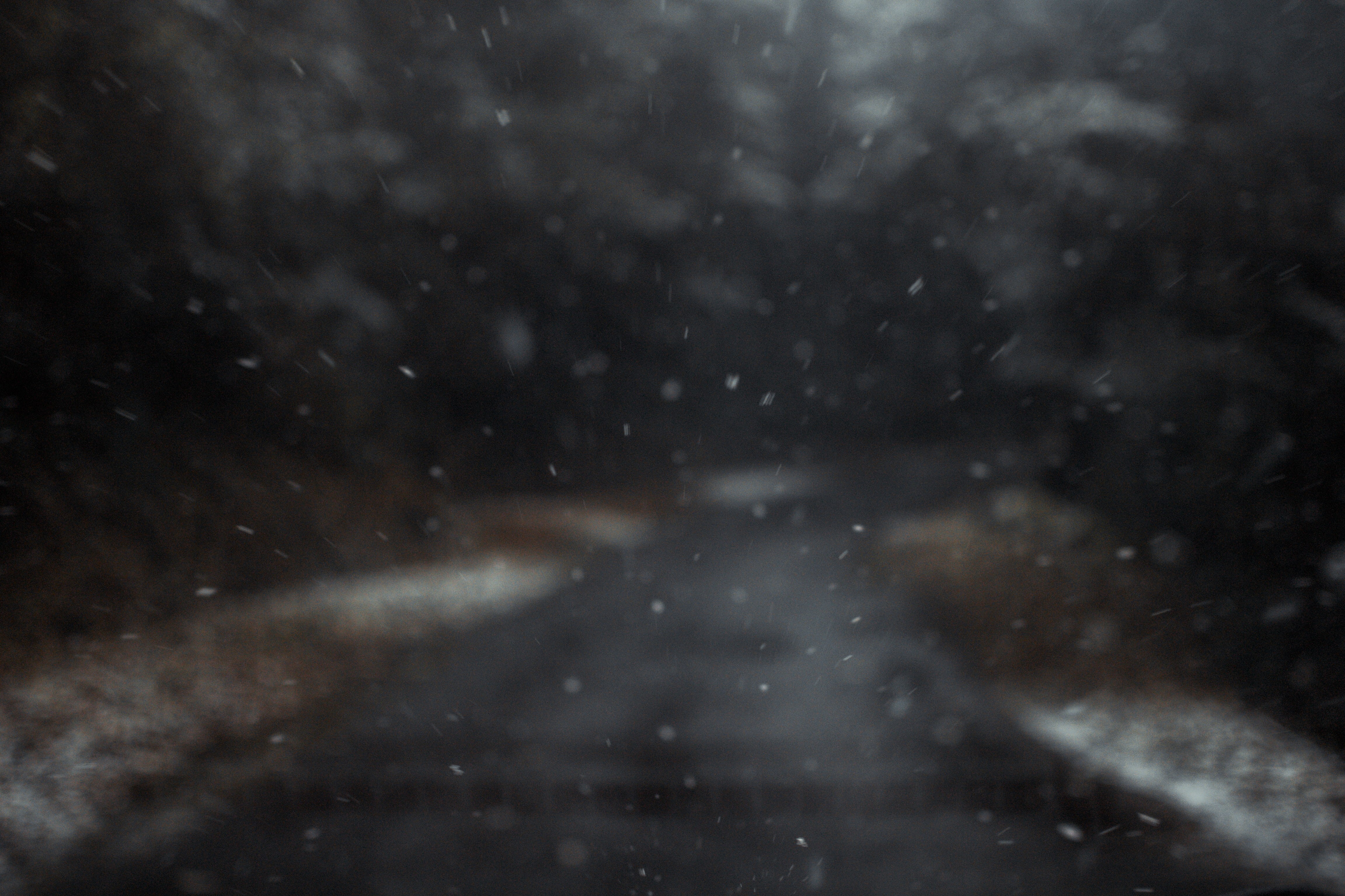 tree, roadtrip, cold - Temperature, 4K, outdoors, abstract, nature, blur, rain, no People, backgrounds, ice, white, space, winter, forest, snowfall, snowing, HD Wallpaper