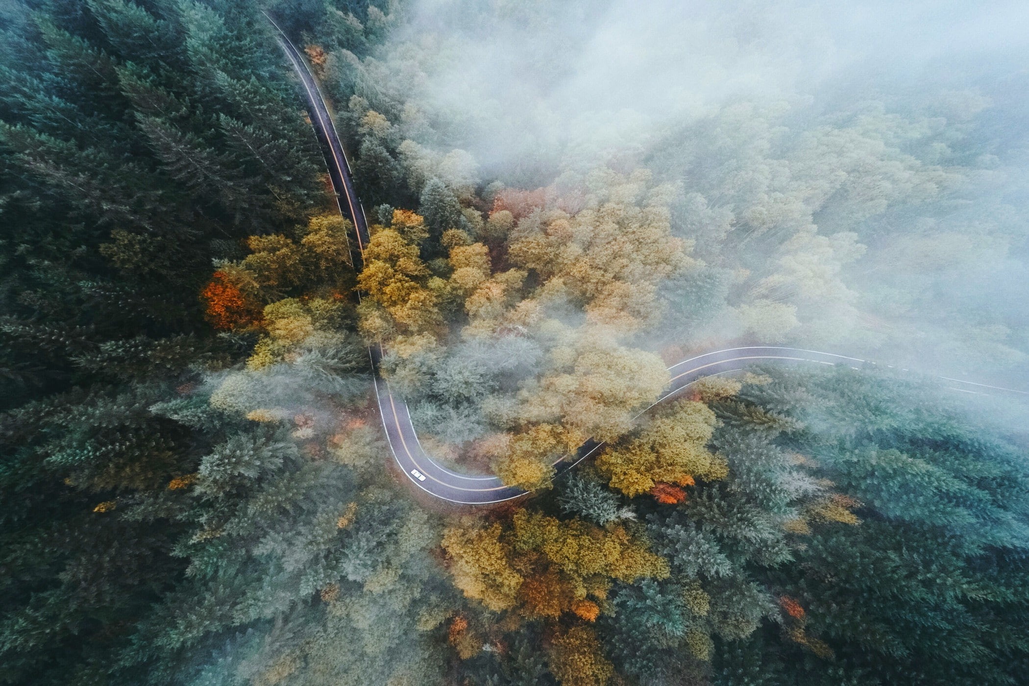 forest, Oregon, landscape, nature, drone, highway, fall, trees, aerial view, 1080P, road, mist, HD Wallpaper